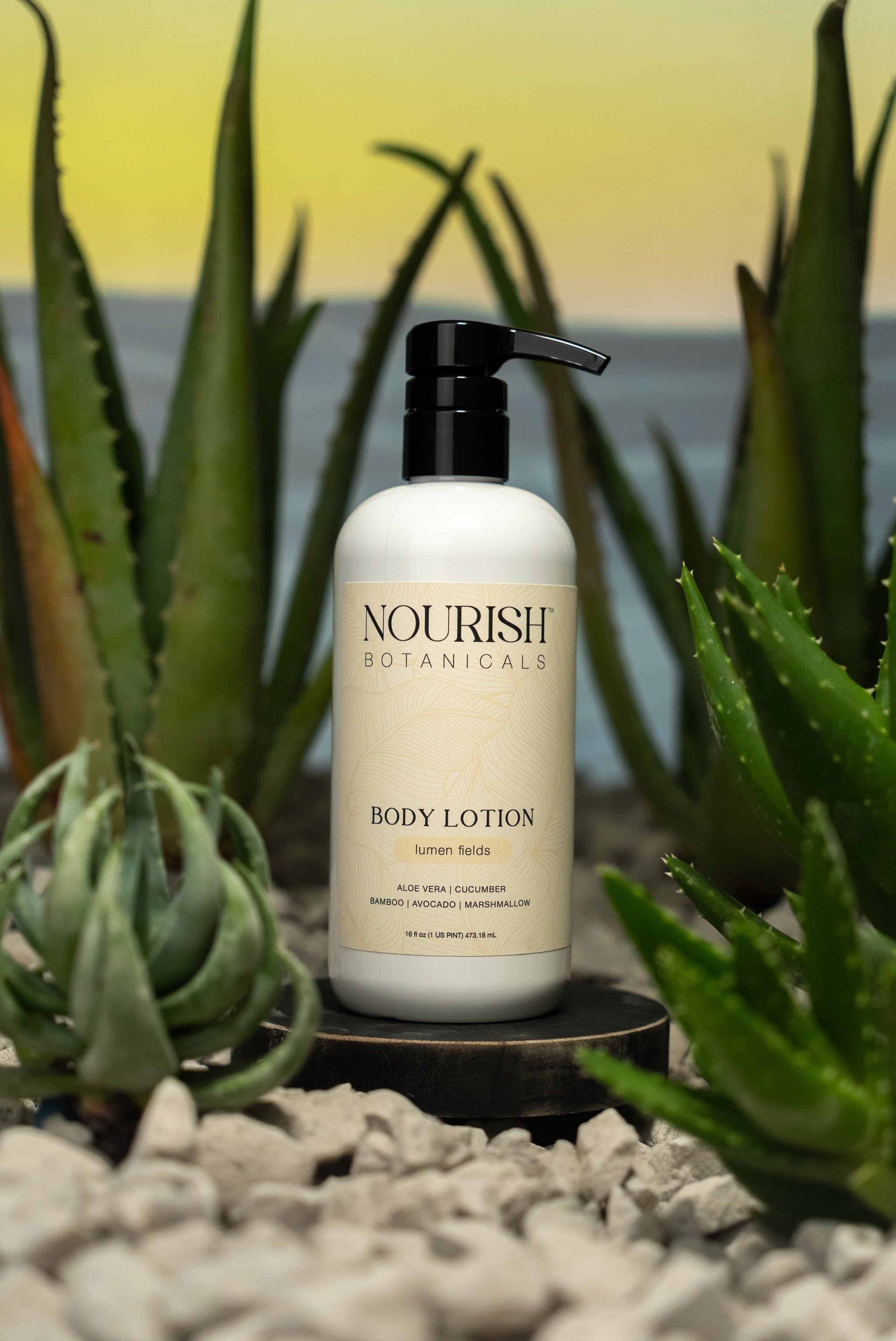 Aloe Vera Body Lotion | Lumen Fields