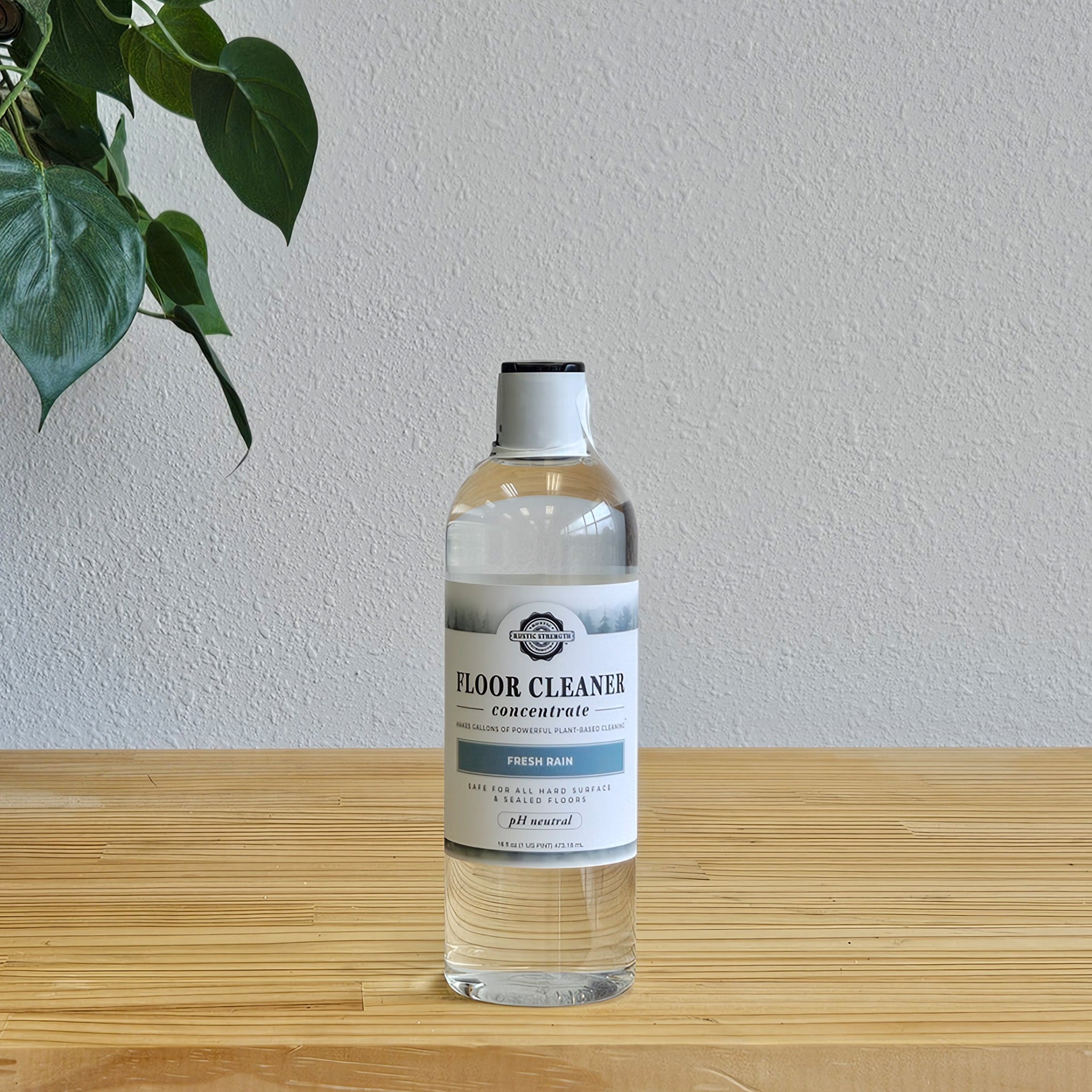 CLEARANCE | Floor Cleaner Concentrate | Fresh Rain ( 16 oz )