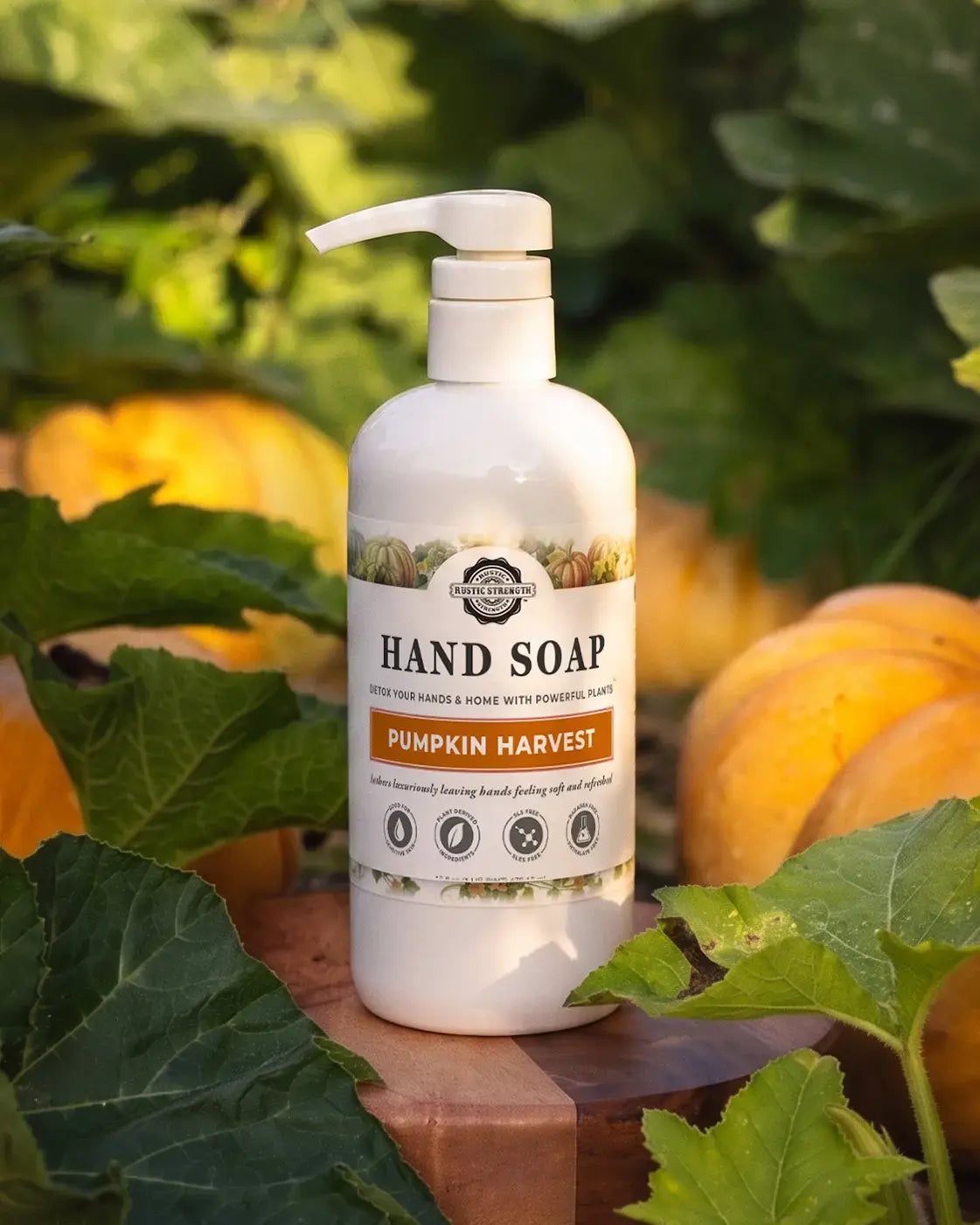 Hand Soap | Pumpkin Harvest