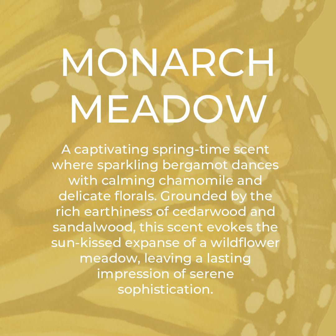 Dish Soap | Monarch Meadow