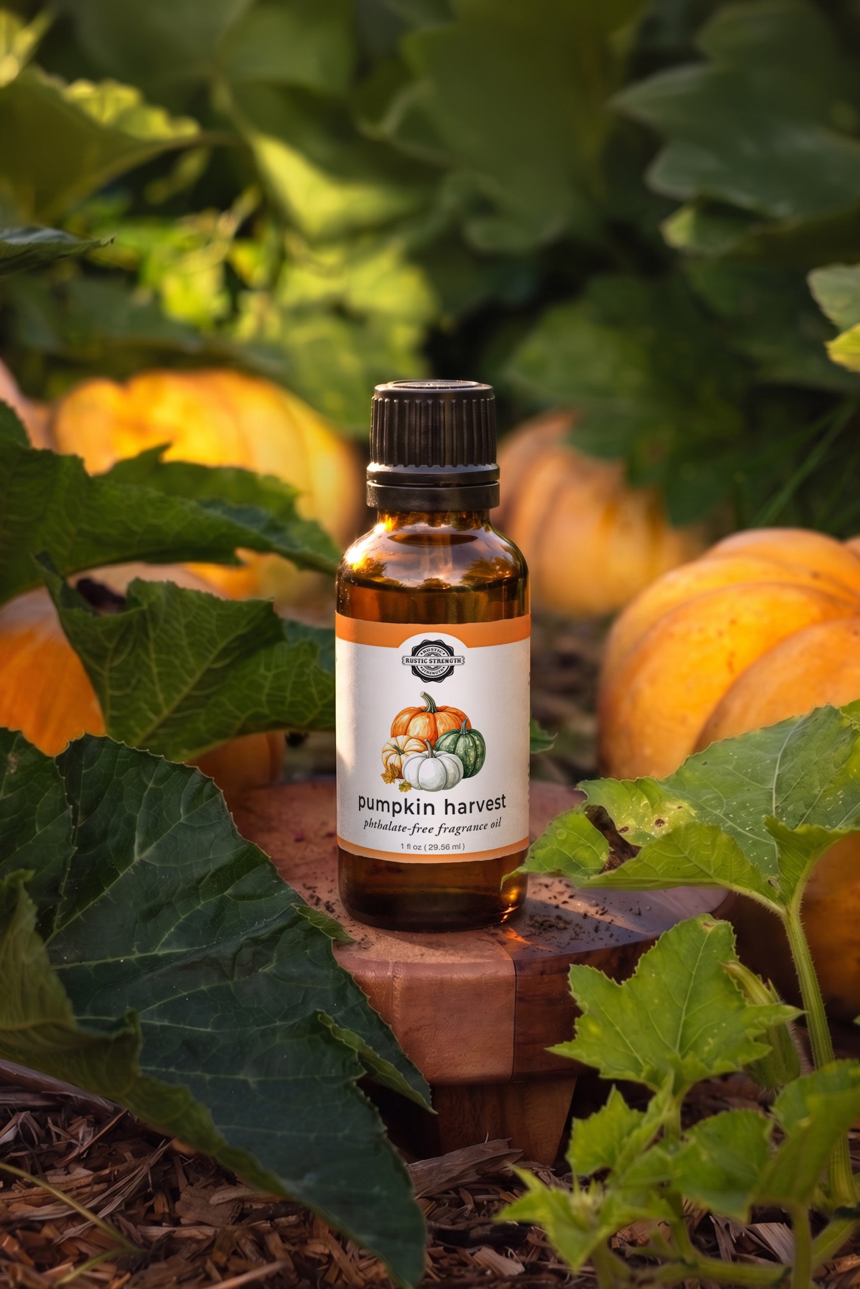 Pumpkin Harvest Phthalate-Free Fragrance Oil