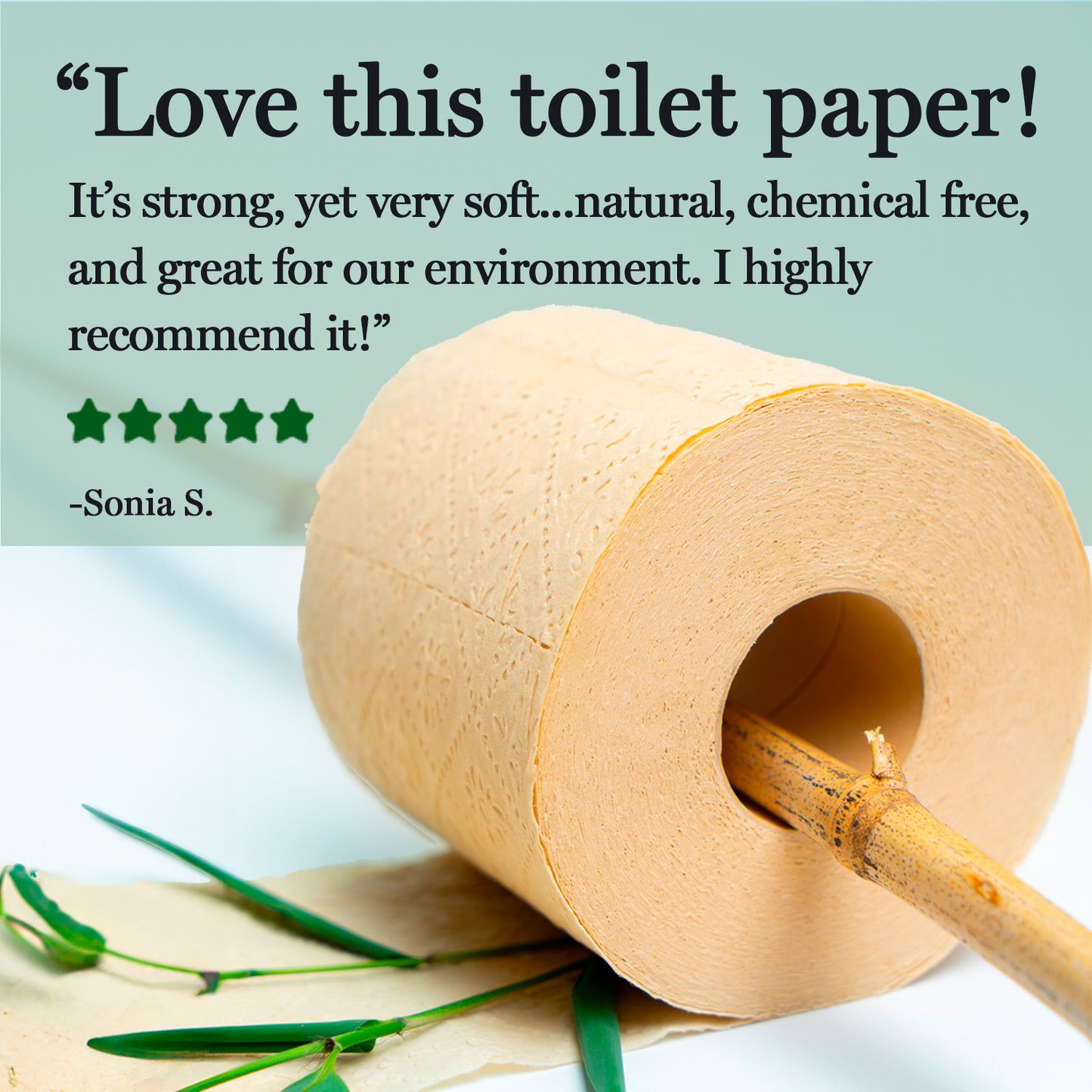 Panda Eco Paper | Bamboo Toilet Paper