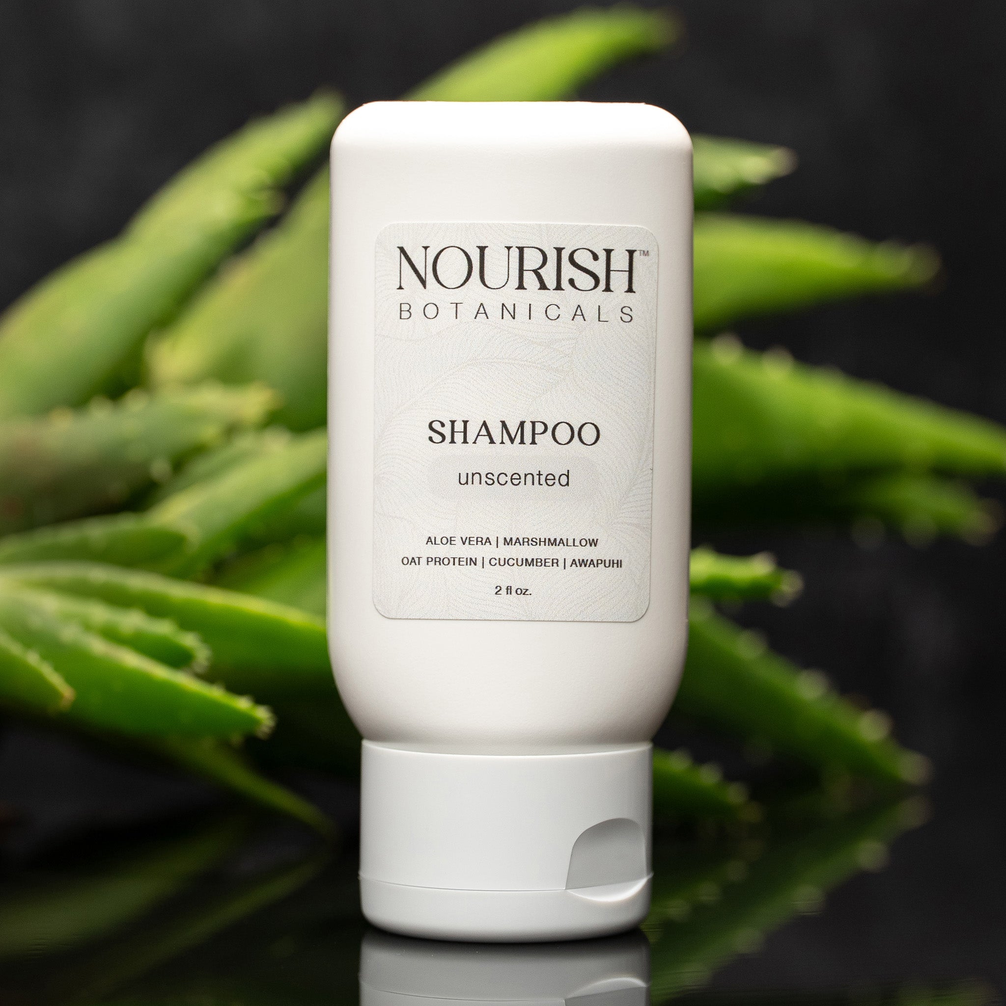 Aloe Vera Shampoo | Unscented