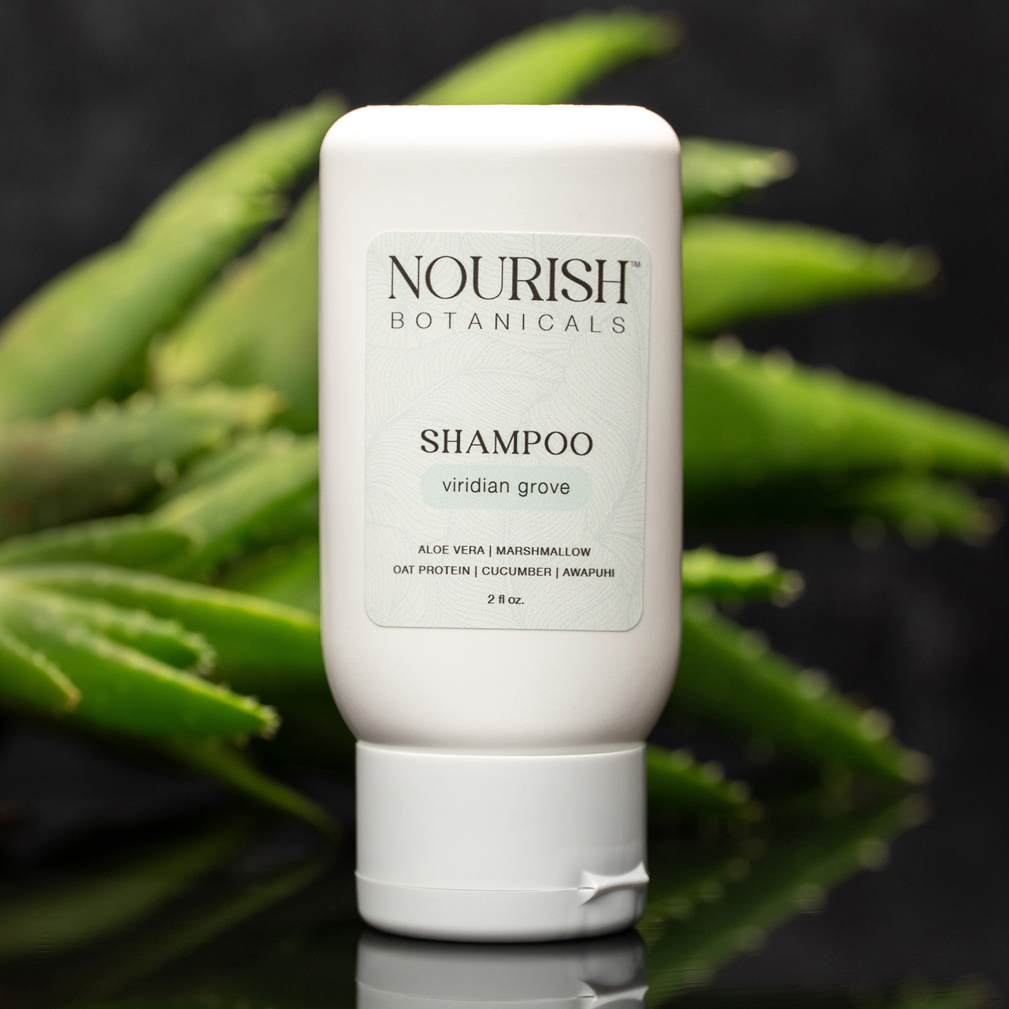 Botanical Sample Set | Viridian Grove