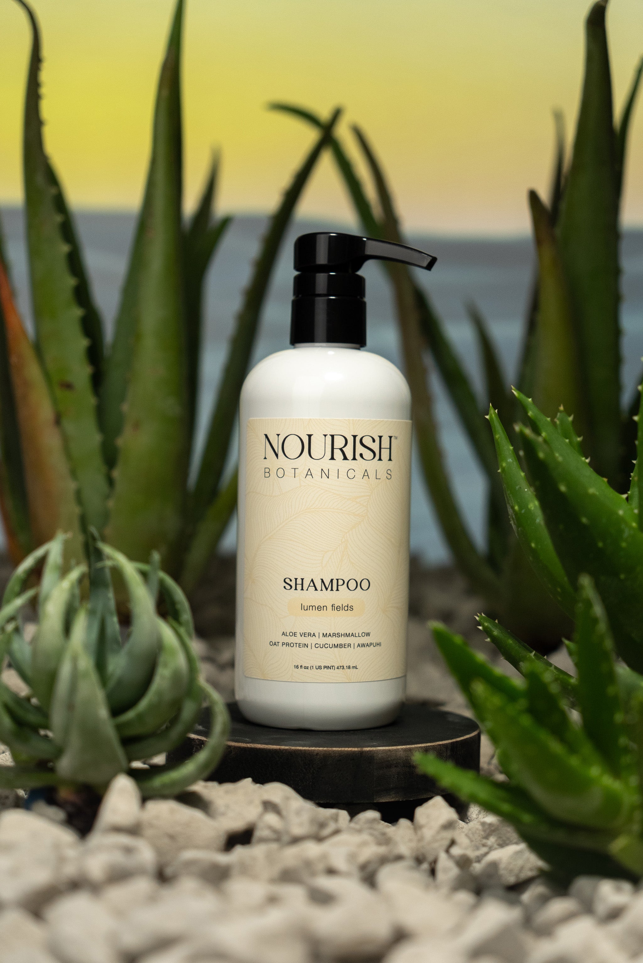 Aloe Vera Shampoo | Lumen Fields