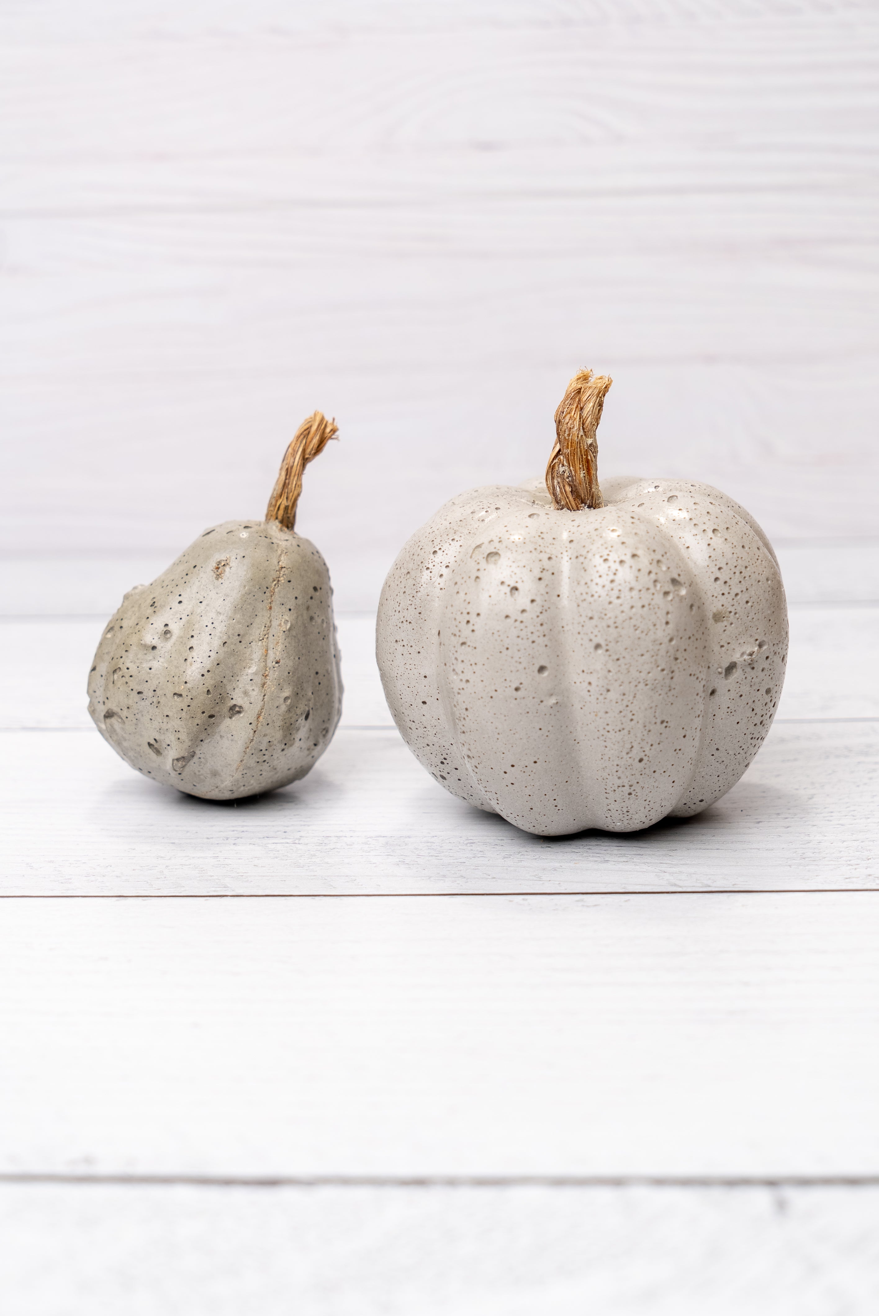 Concrete Decor | Small Squash