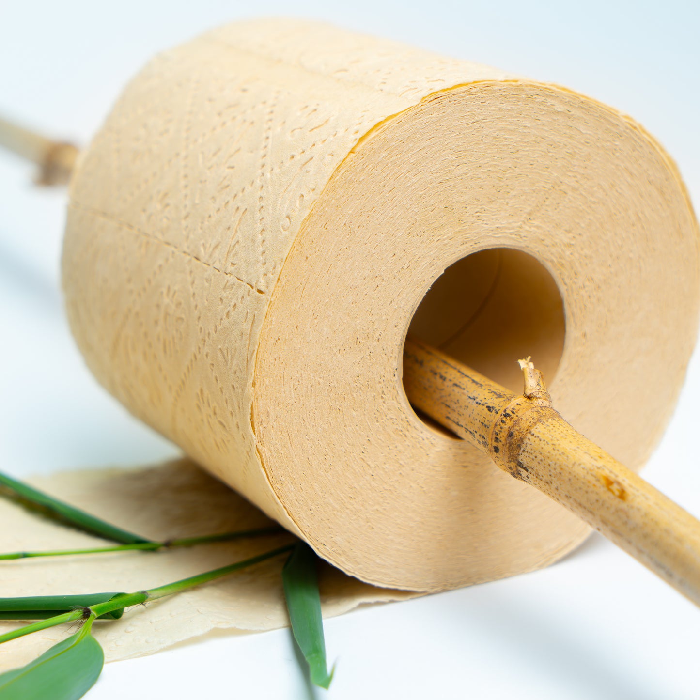 Panda Eco Paper | Bamboo Toilet Paper