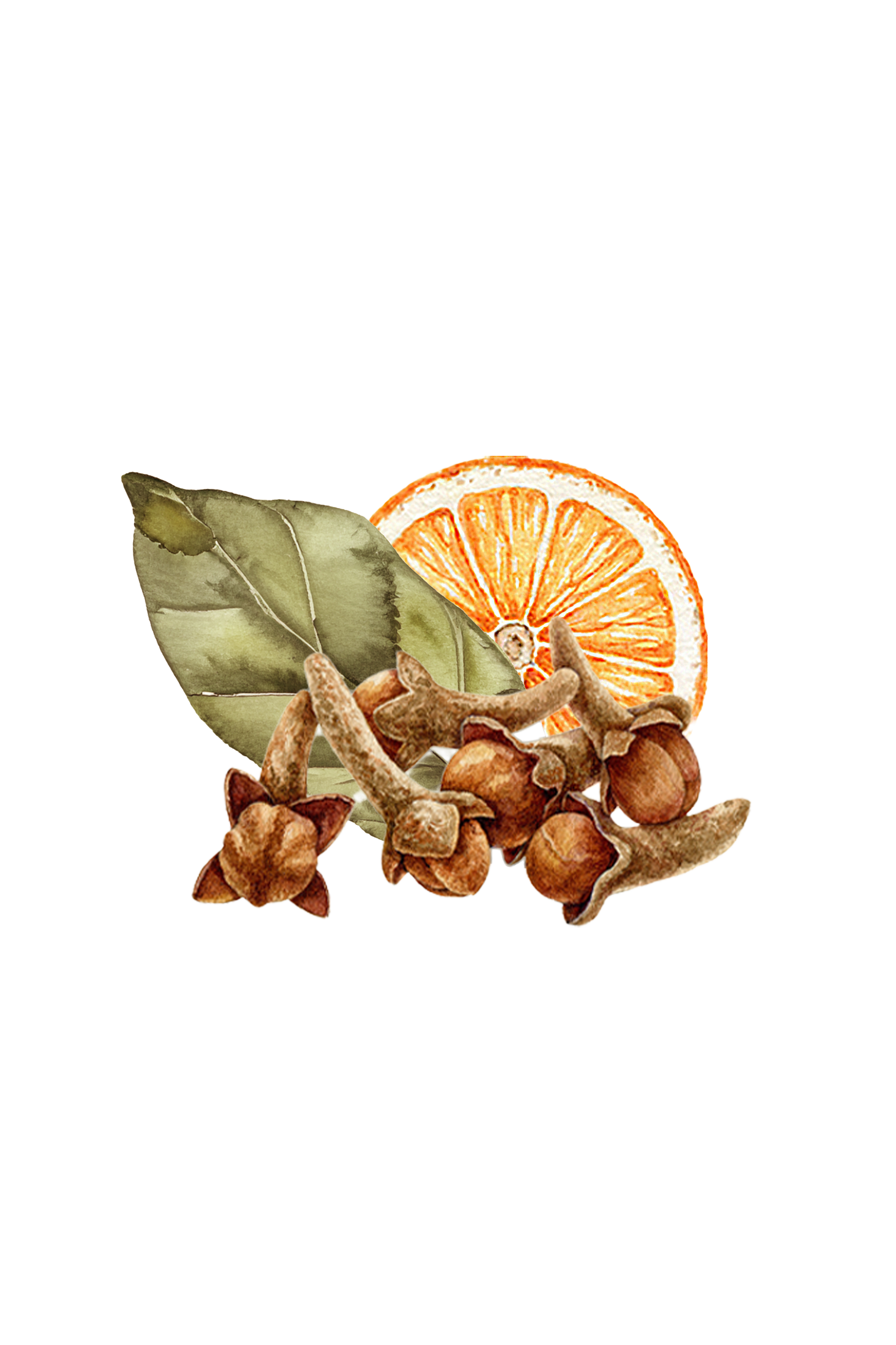 Bay Spice Essential Oil Blend