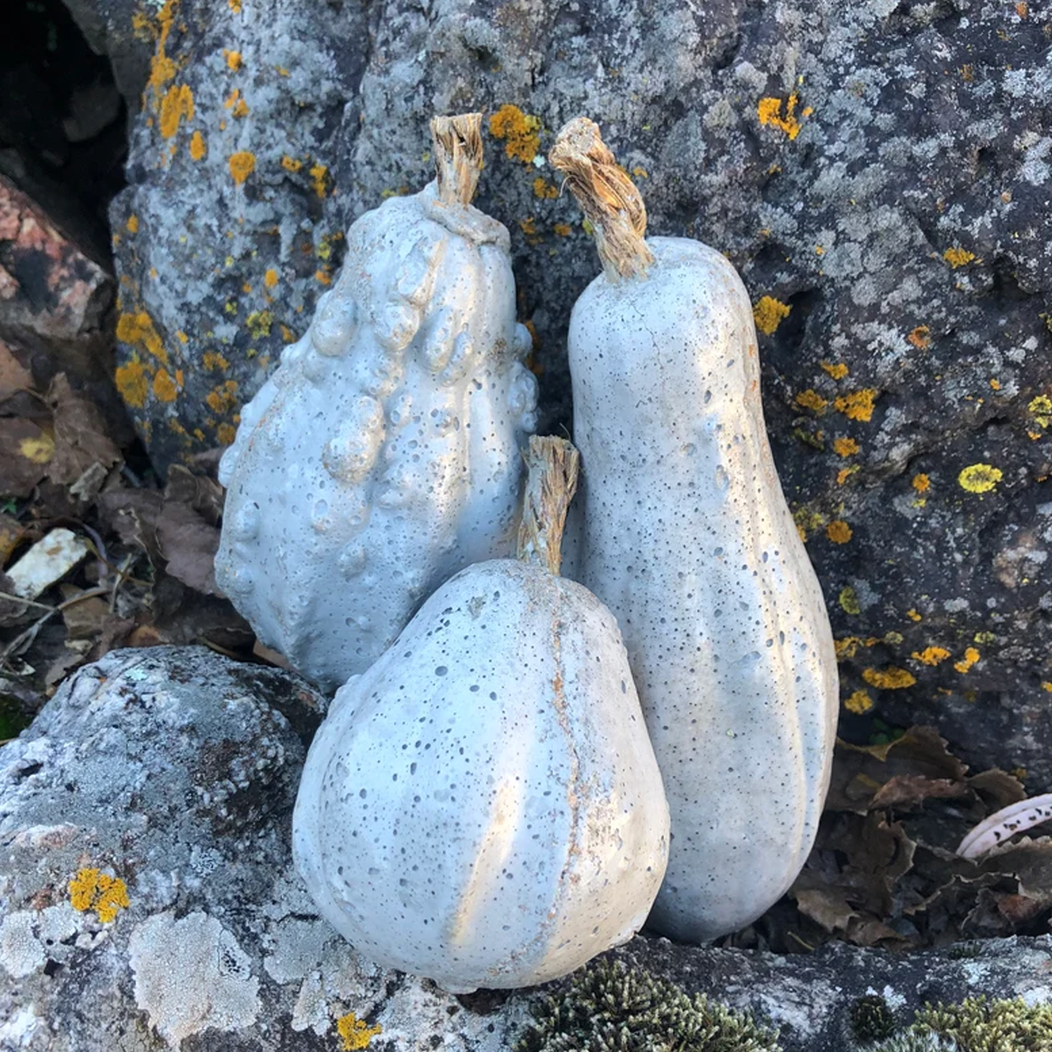Concrete Decor | Small Squash