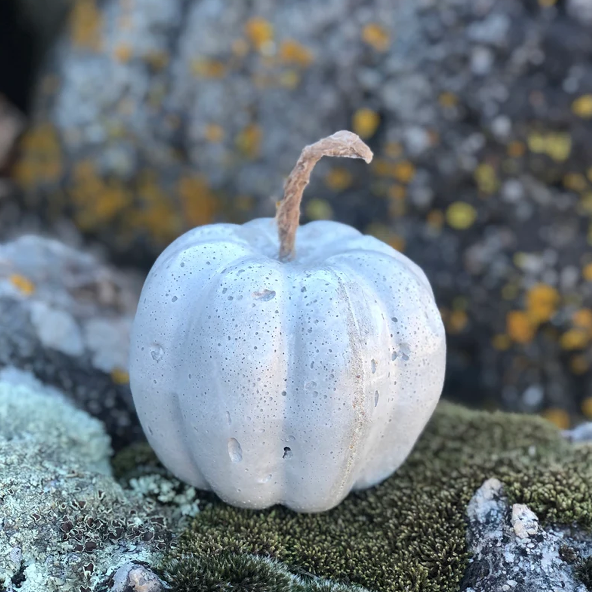 Concrete Decor | Pumpkin