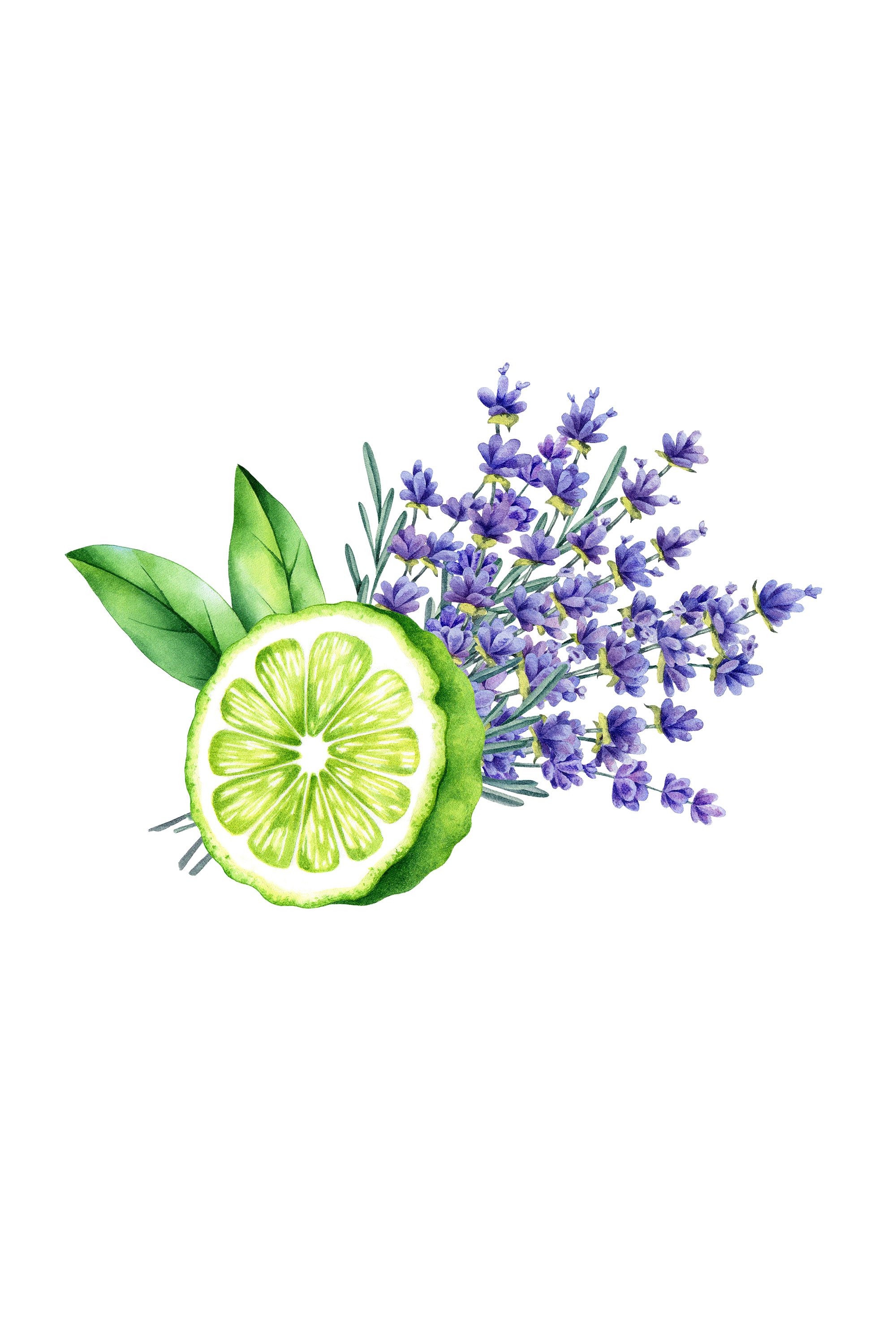 Bergamot & Lavender Essential Oil