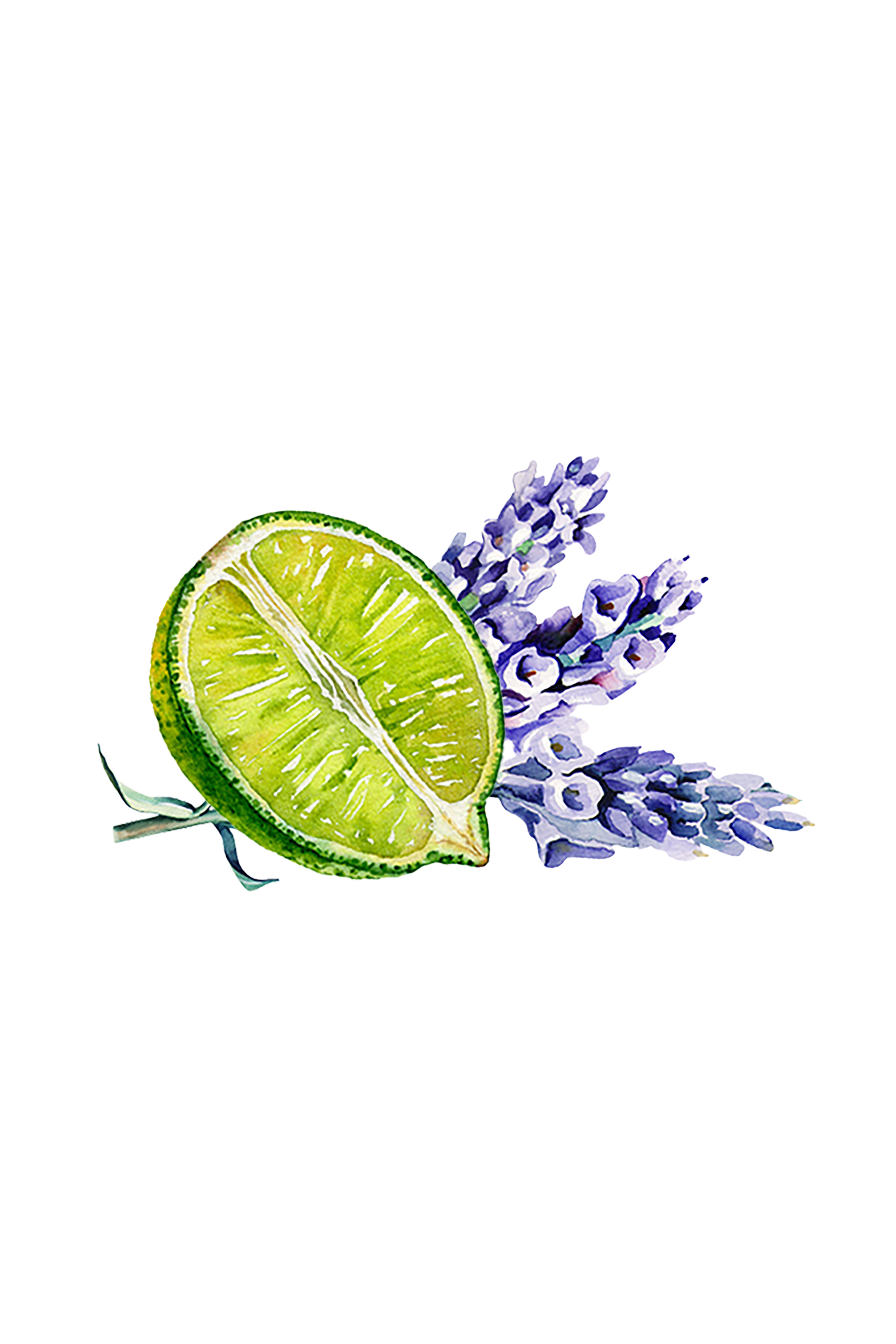 Laundry Detergent | Lavender & Lime