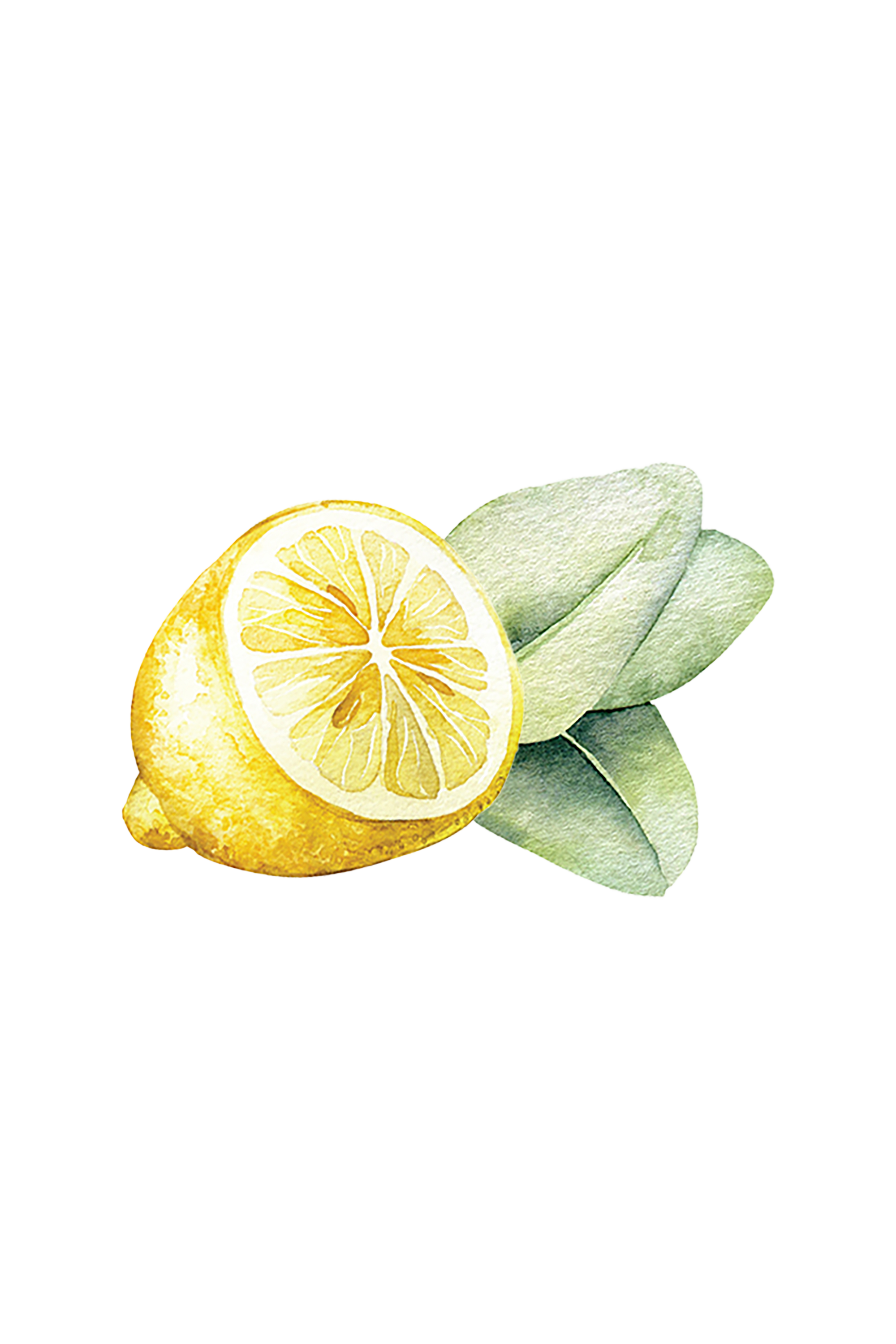 Dish Soap | Lemon & Eucalyptus