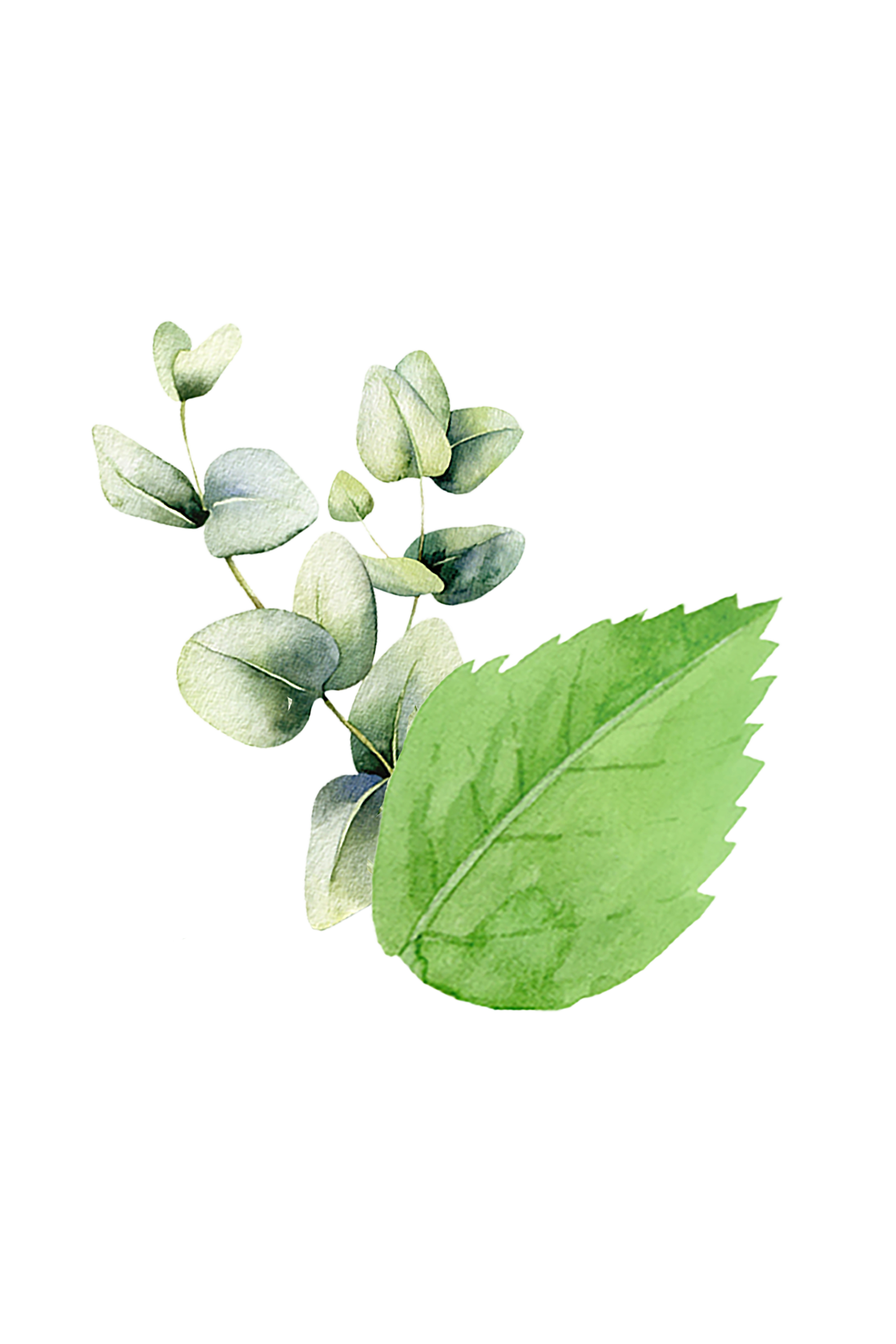 Bubble Bath | Mint Eucalyptus