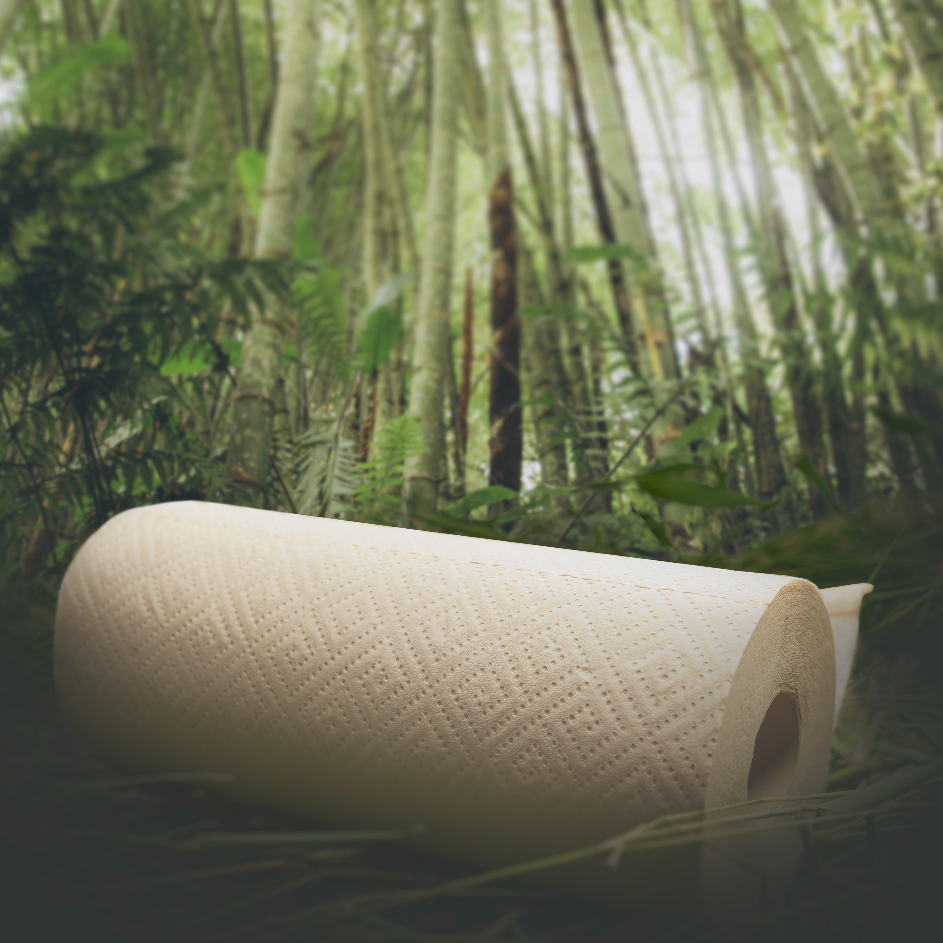 Panda Eco Paper | Bamboo Toilet Paper Sample