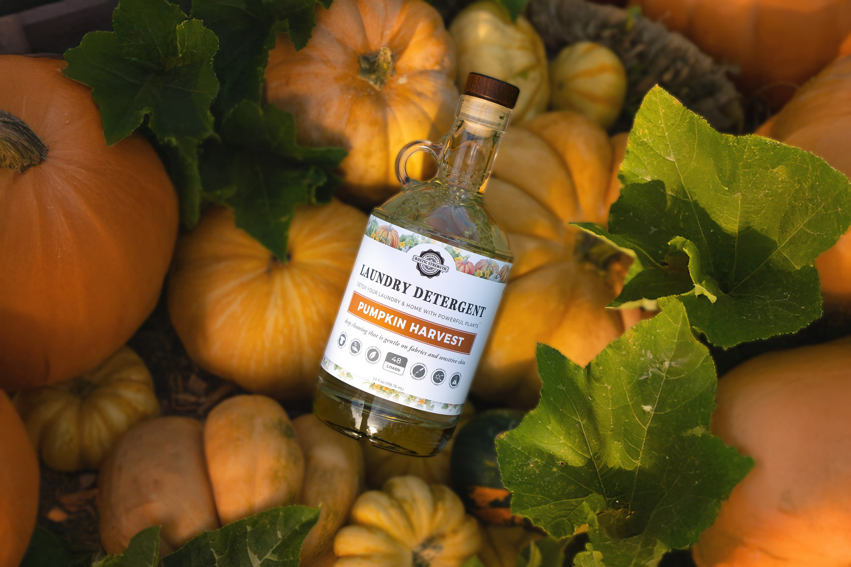 Seasonal Collection - Rustic Strength