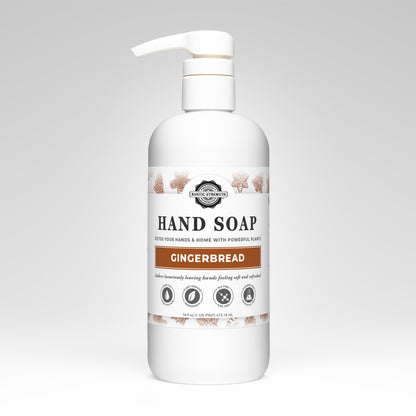 Hand Soap | Gingerbread