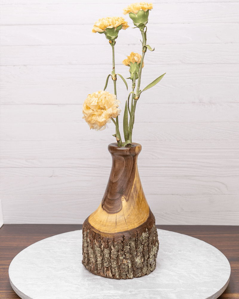 Walnut Emerging Vase | S0125