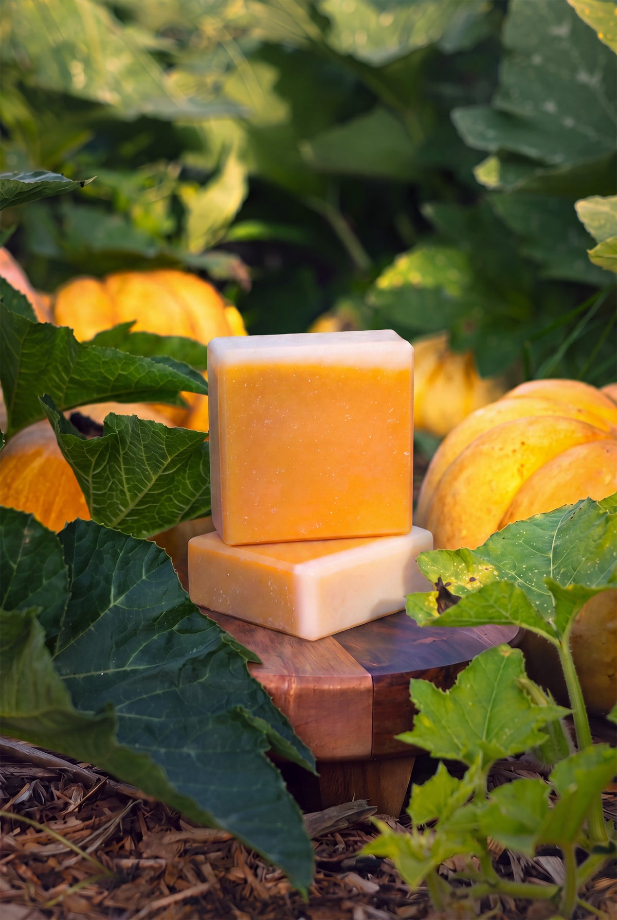 Bar Soap | Pumpkin Harvest
