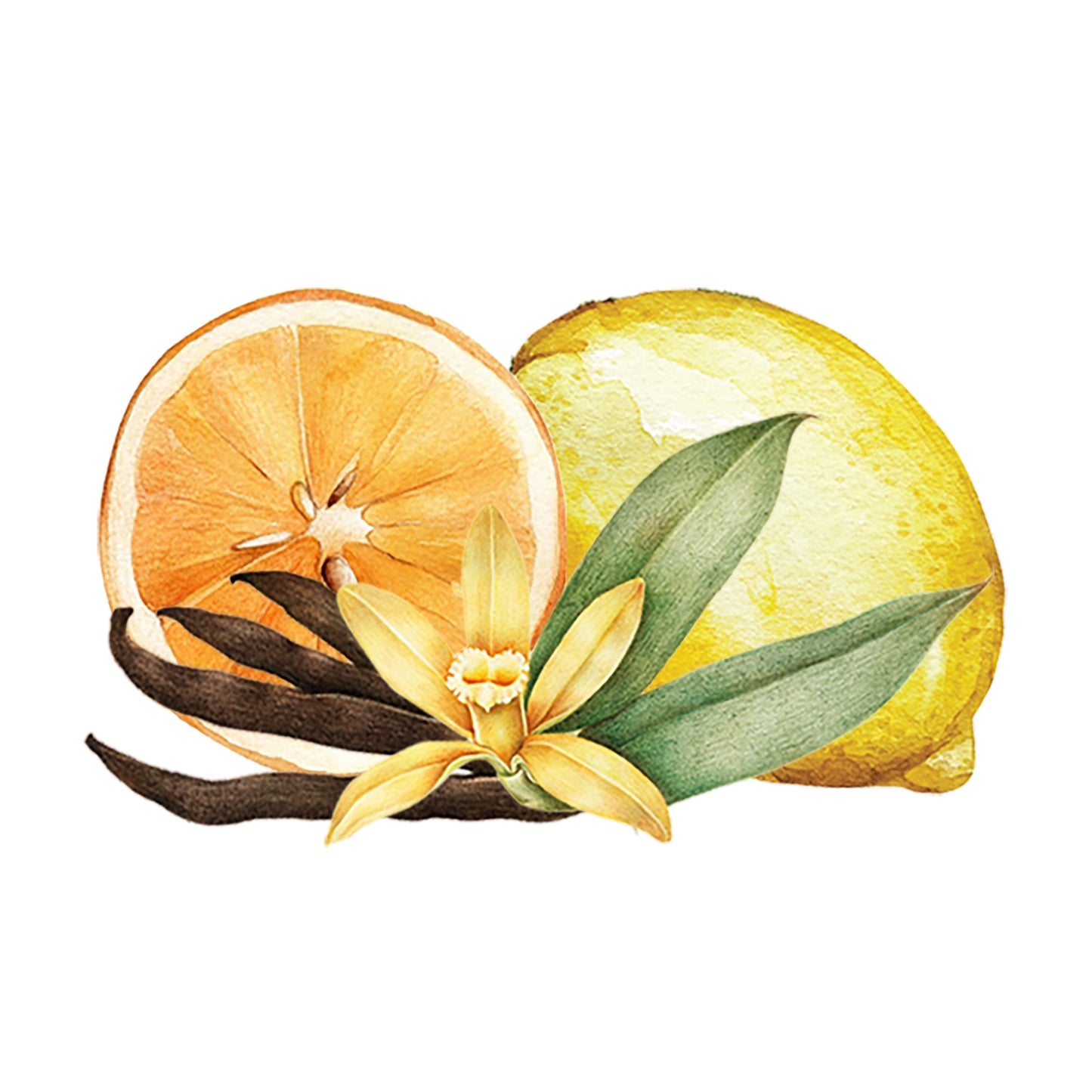 Citrus & Vanilla EO / FO Blend