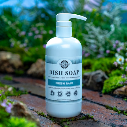 Dish Soap | Fresh Rain