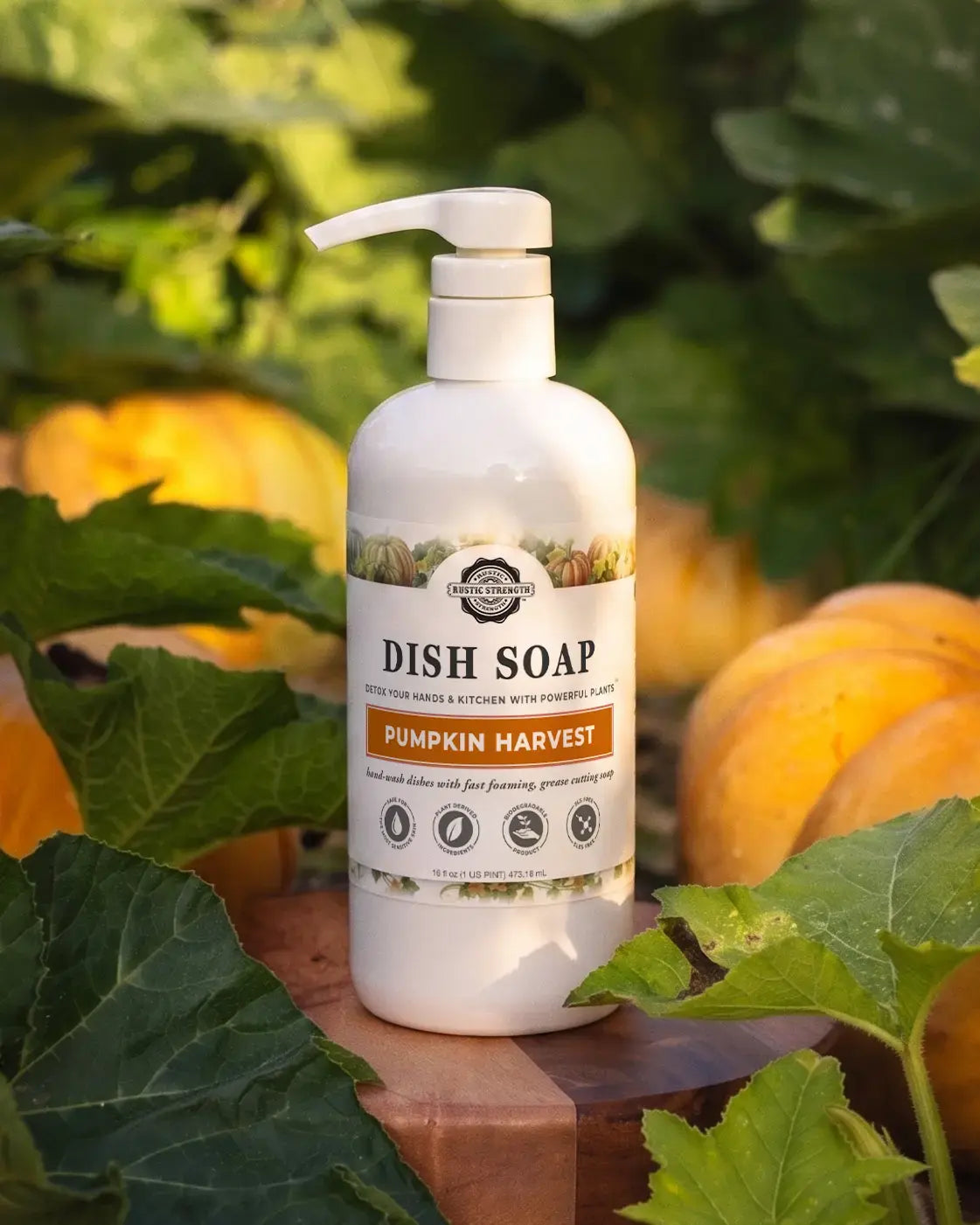 Dish Soap | Pumpkin Harvest