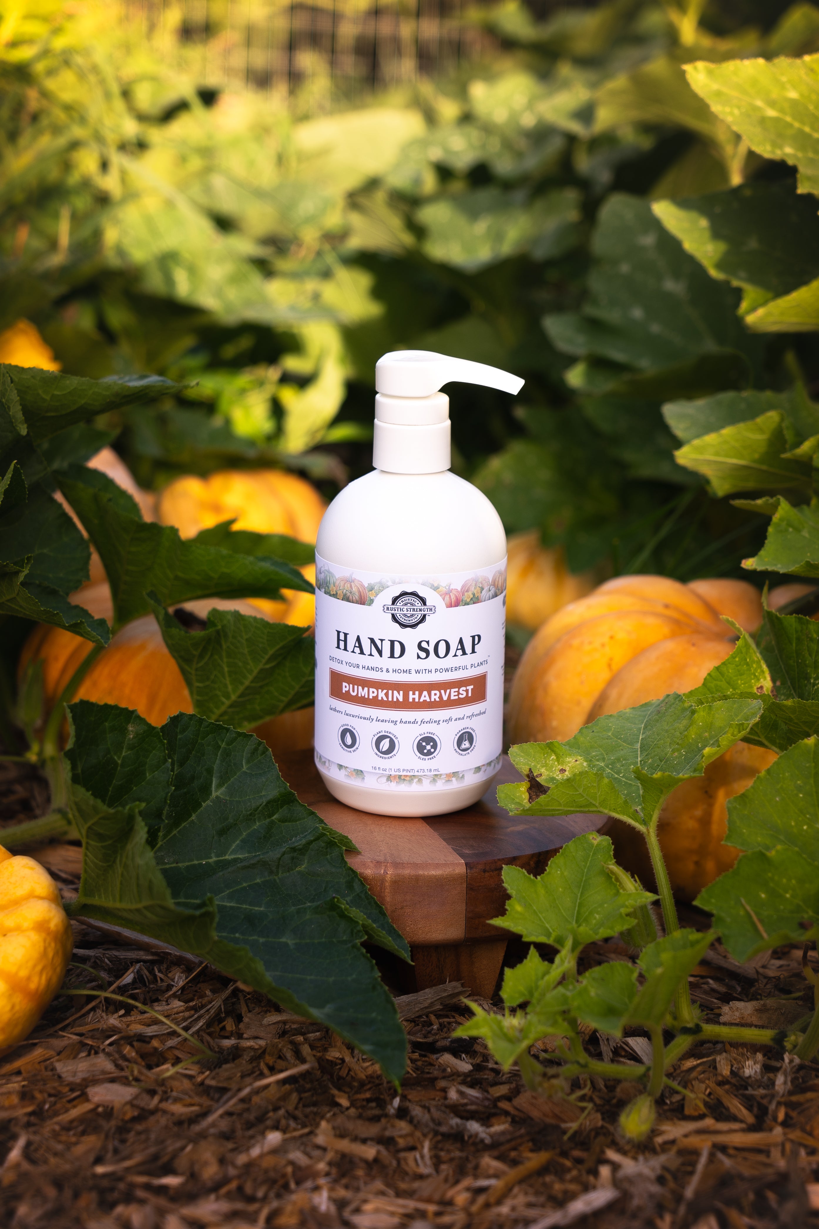 Hand Soap | Pumpkin Harvest