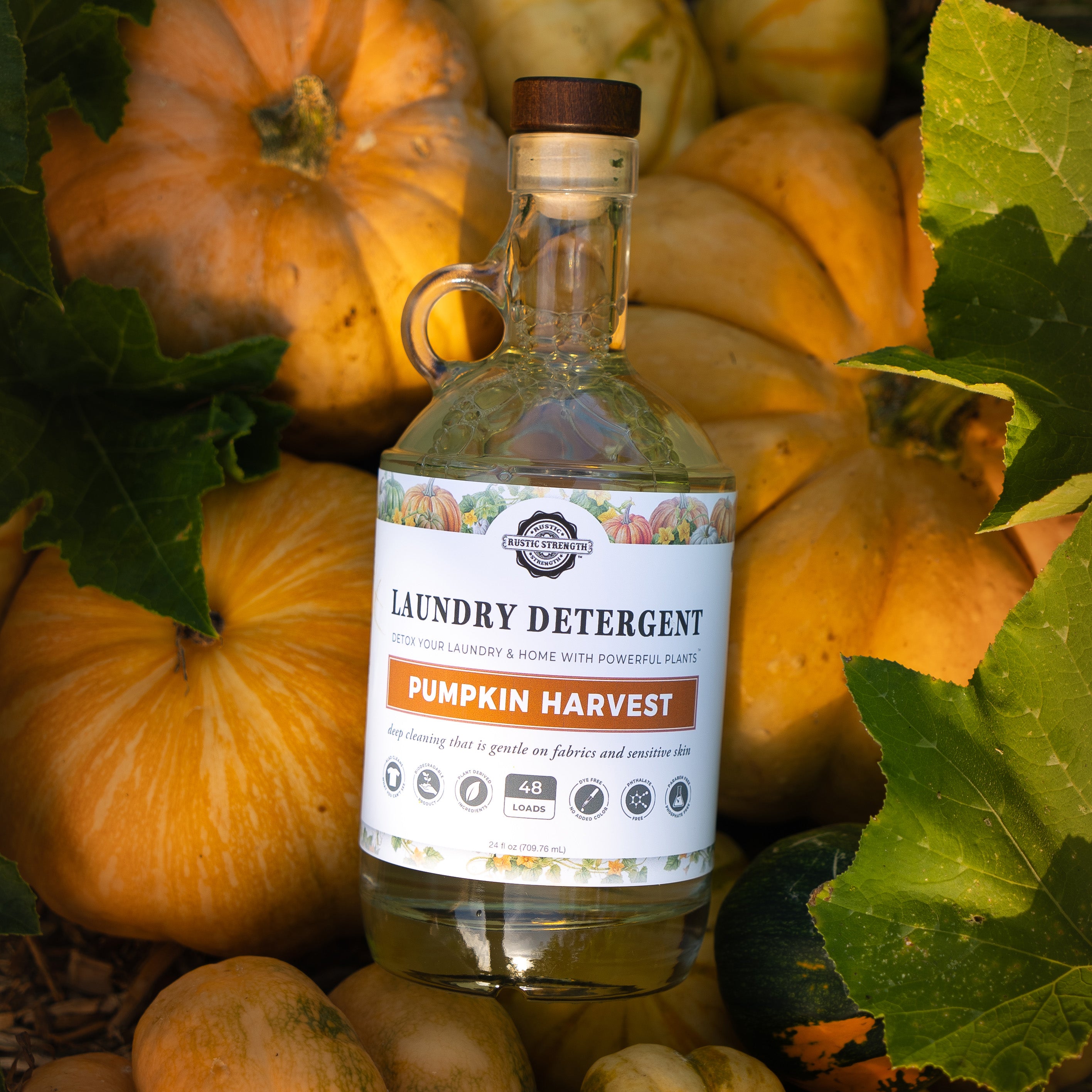 Laundry Detergent | Pumpkin Harvest