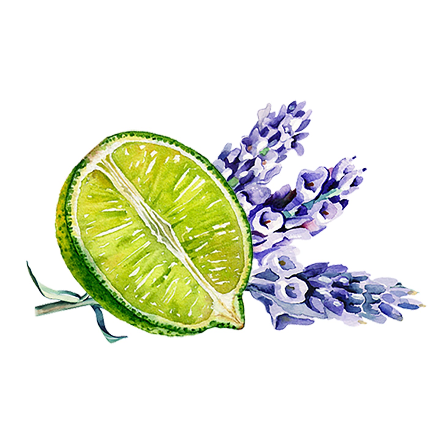 Laundry Detergent | Lavender & Lime