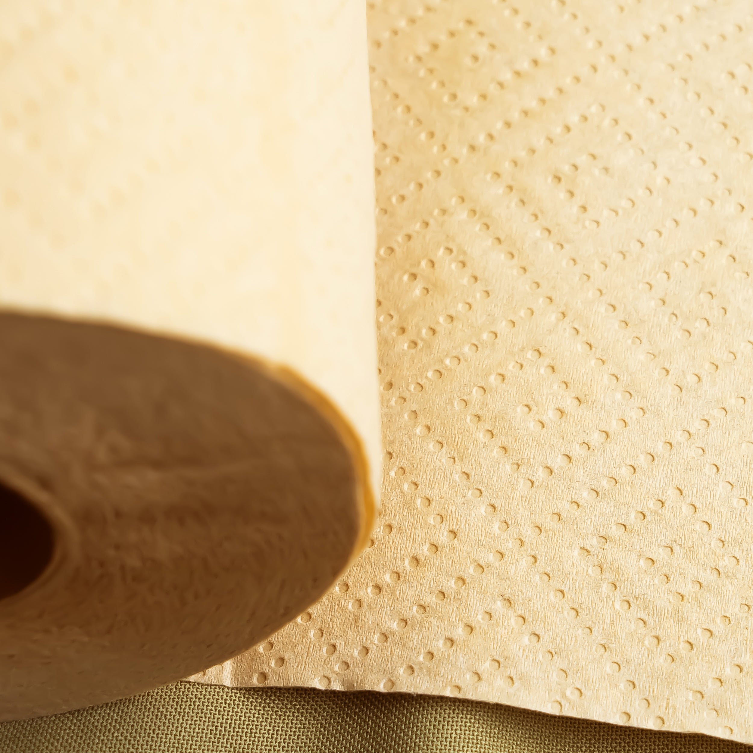 Panda Eco Paper | Bamboo Bundle
