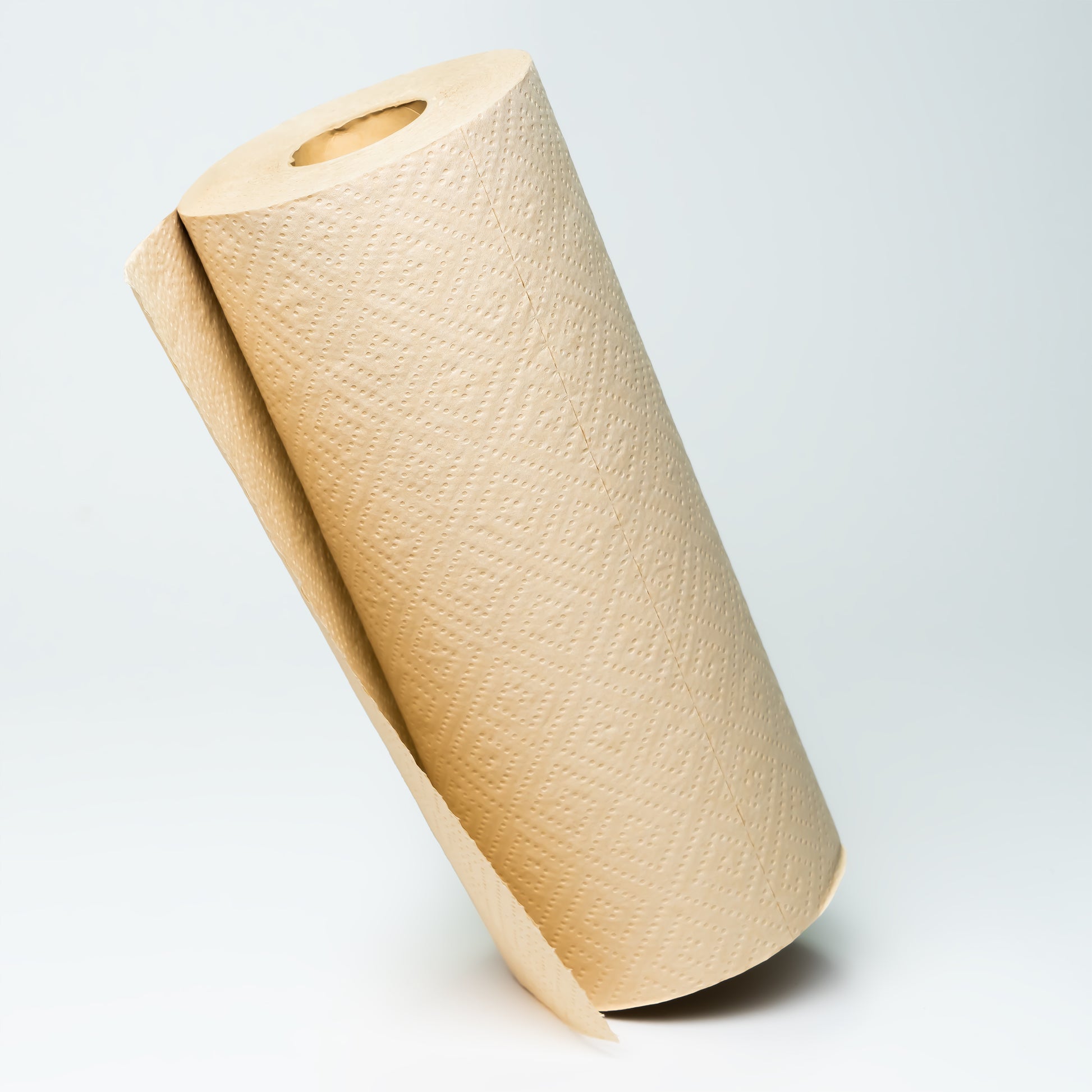 Roll of Paper Towel — THE HOUSE STUDIOS
