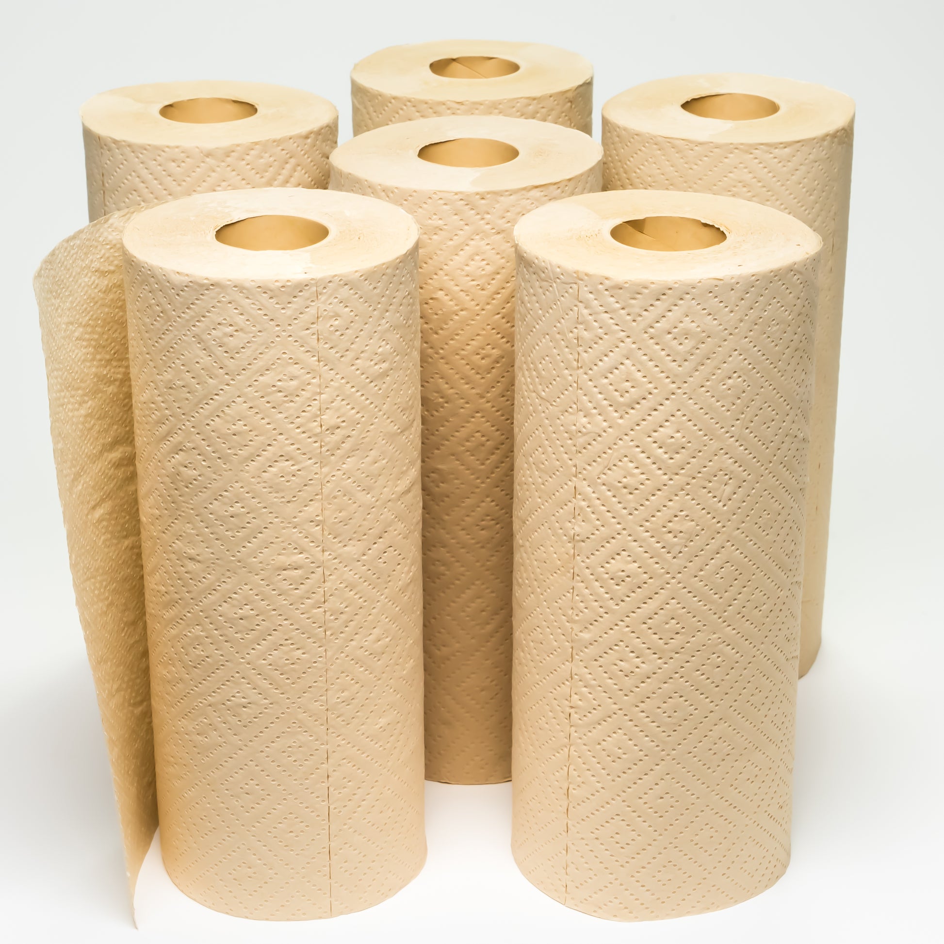 Reusable Washable Bamboo Paper Towels 2-Roll Pack - 100% Organic