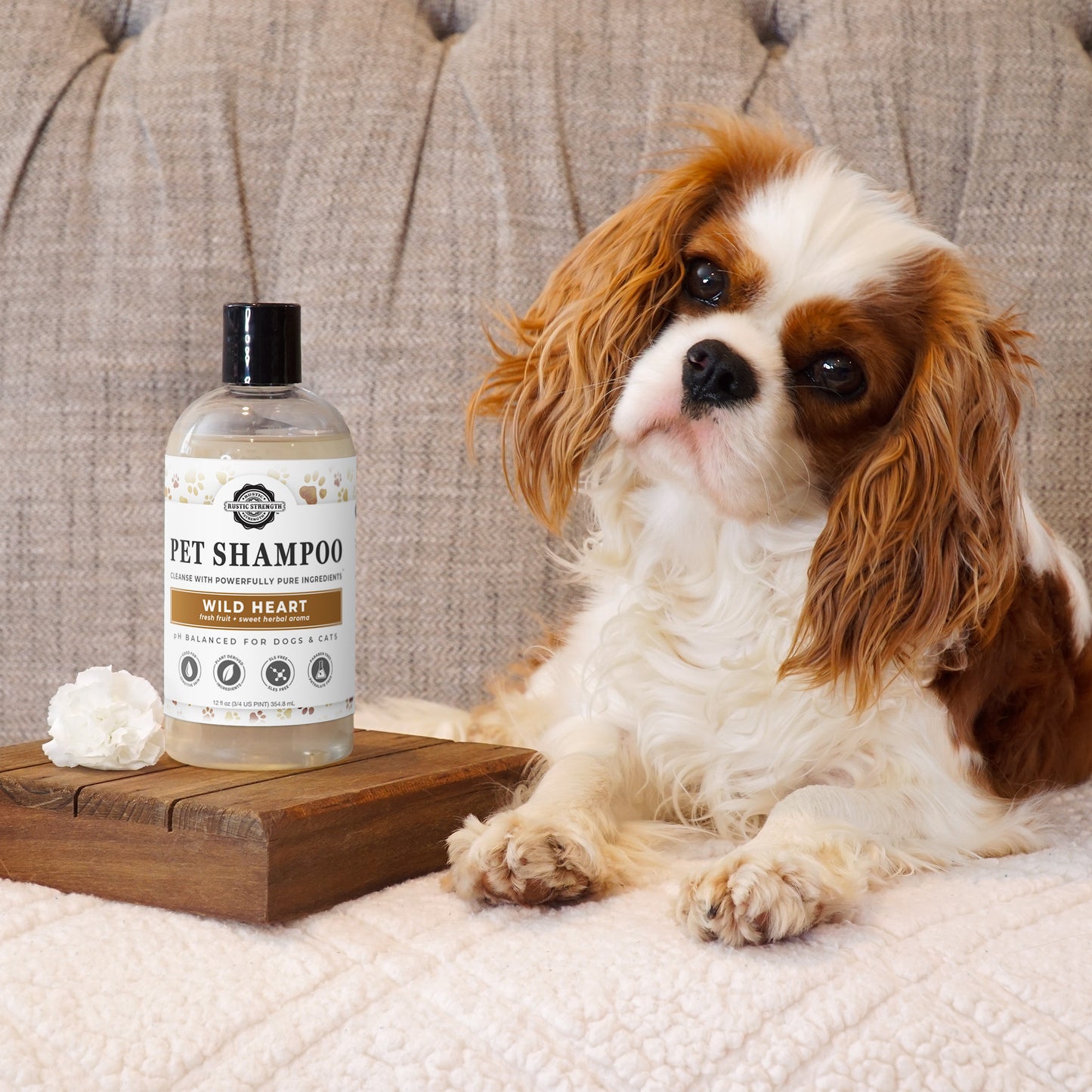 Pet Shampoo | Soothing & Deodorizing | Unscented