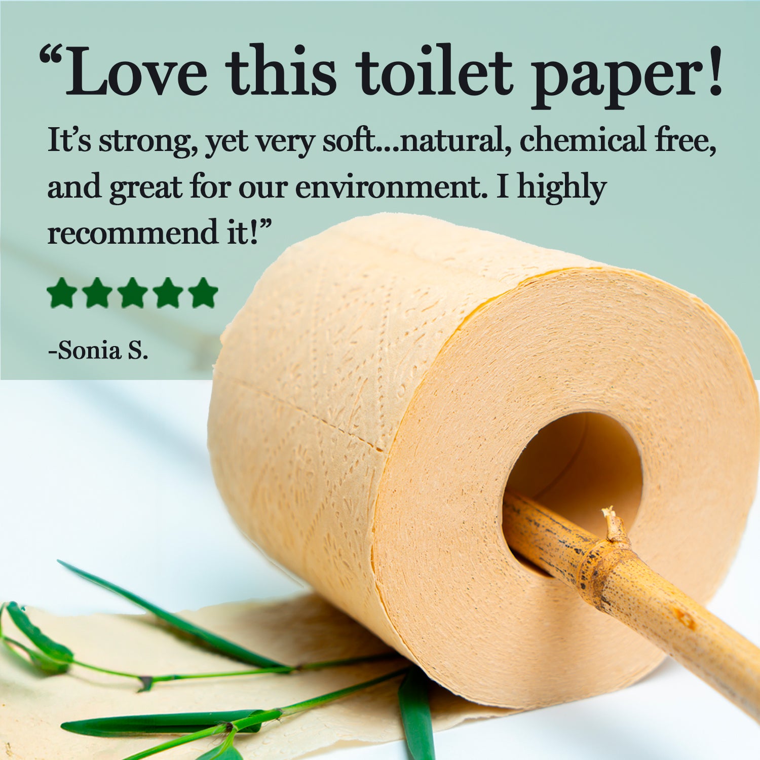 Panda Eco Paper | Bamboo Toilet Paper