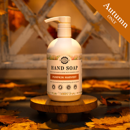 Hand Soap | Pumpkin Harvest