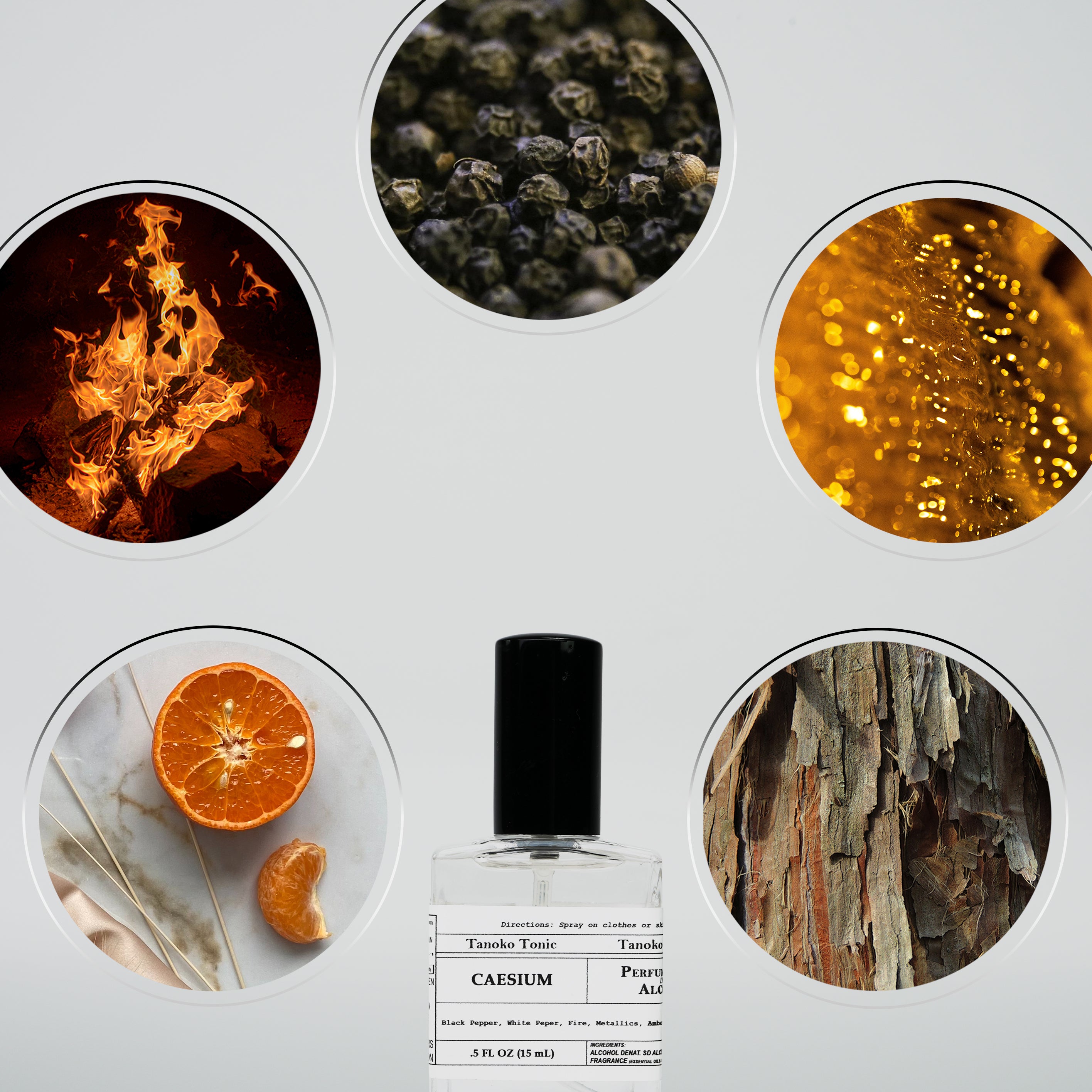 Perfume Sample Pack | One Vial of Each Scent