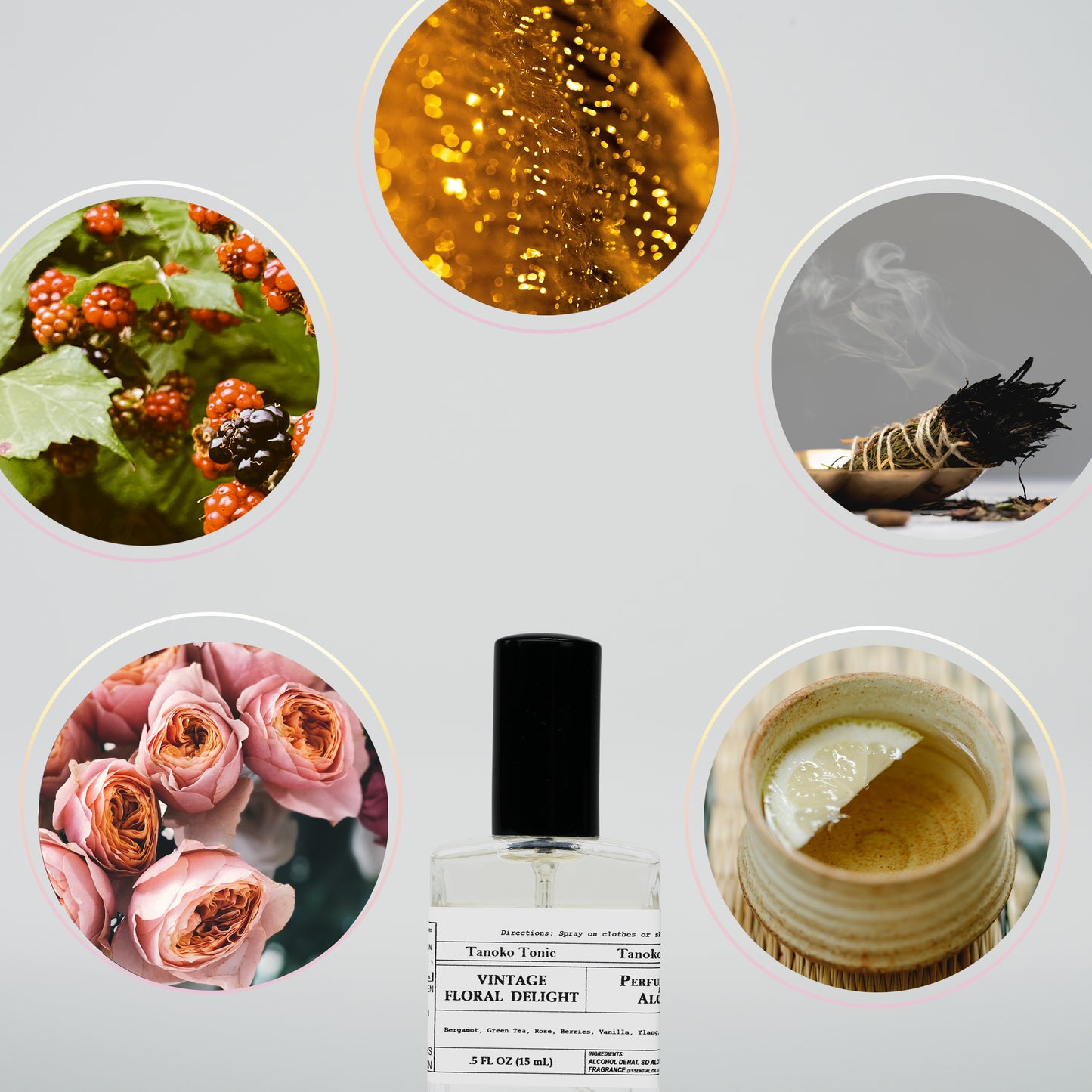 Perfume Sample Pack | One Vial of Each Scent