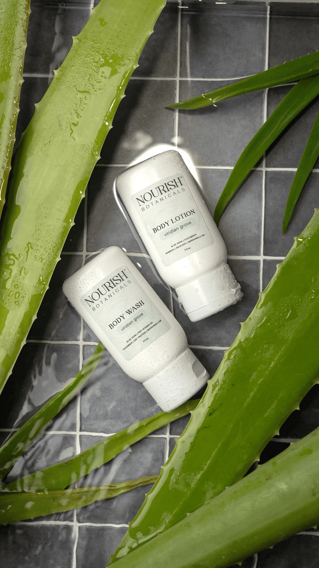 aloe vera plant gif Aloe Vera Body Lotion