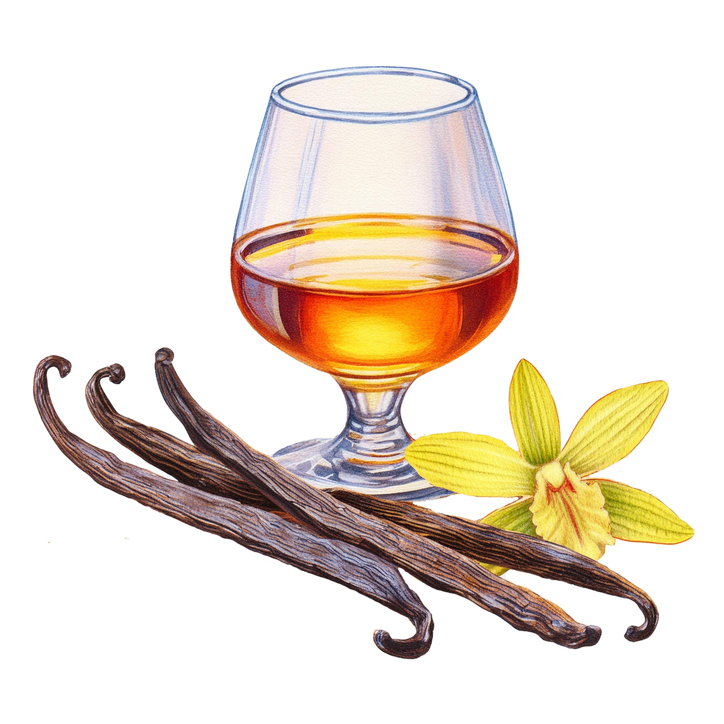 Vanilla Bourbon Phthalate-Free Fragrance Oil