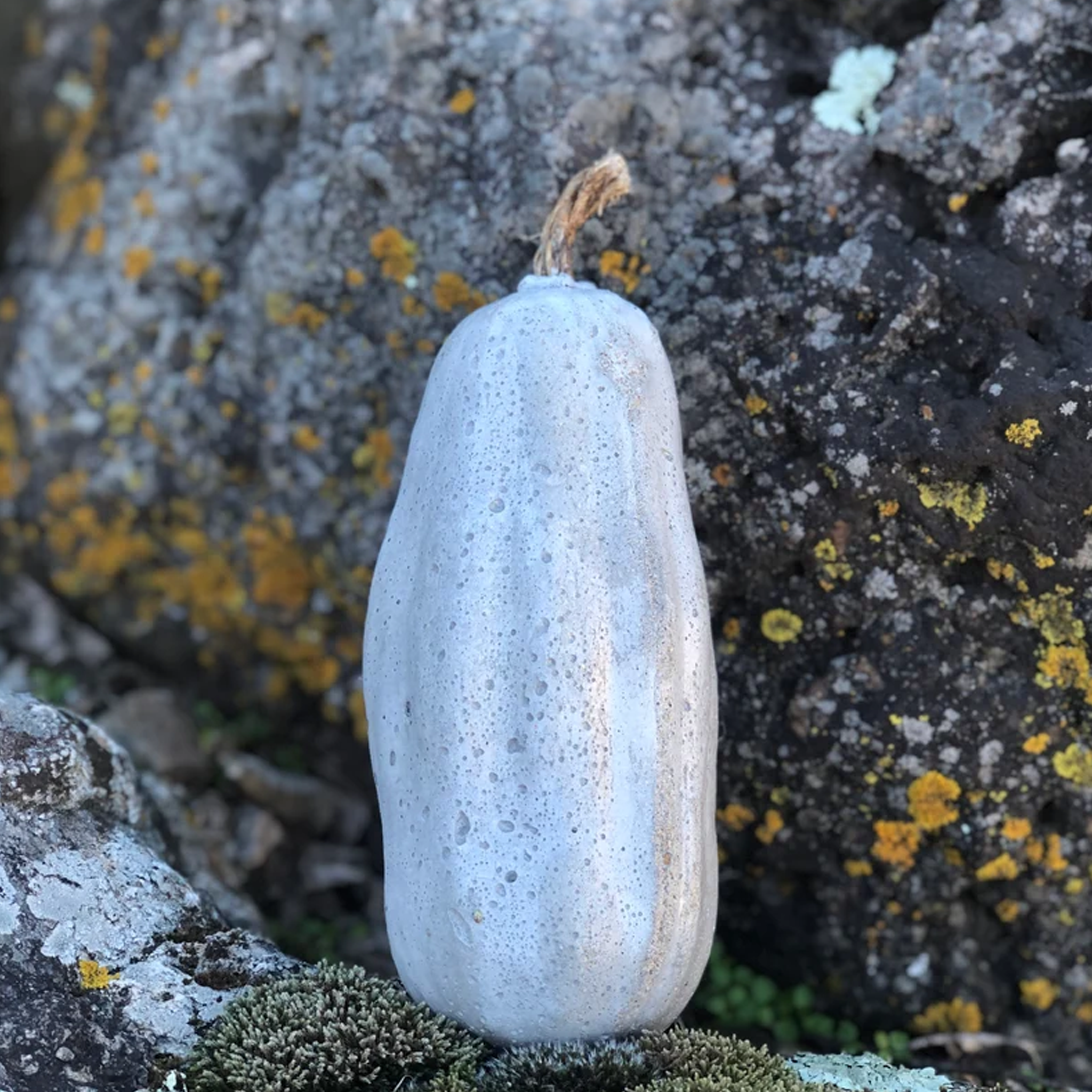 Concrete Decor | Long Squash