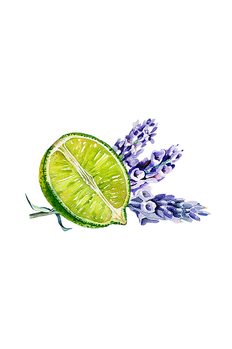 Lavender & Lime Essential Oil Blend – Rustic Strength