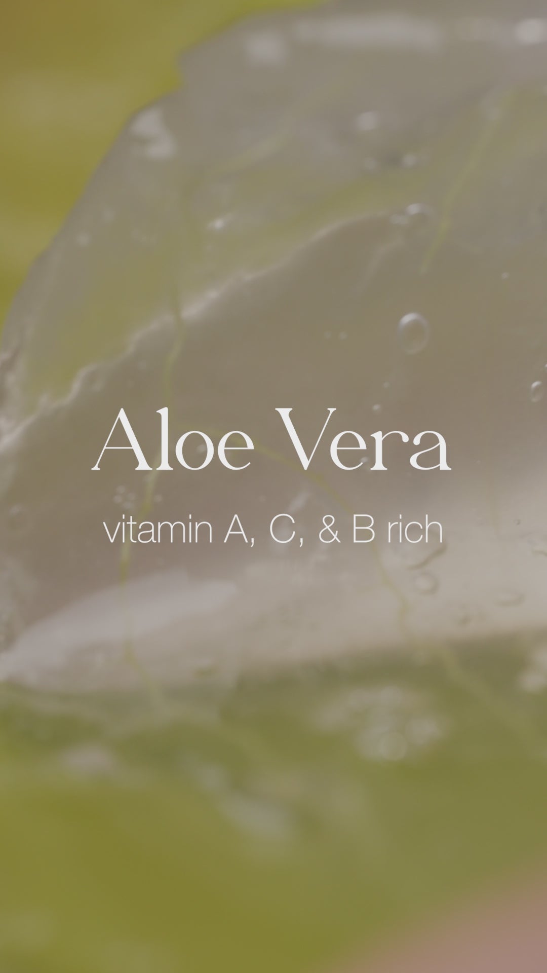 Aloe Vera Body Wash | Viridian Grove