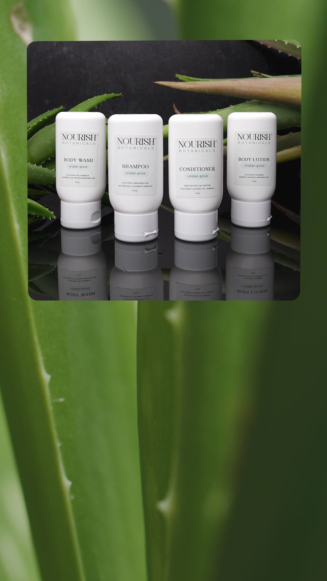 Aloe Vera Conditioner | Viridian Grove