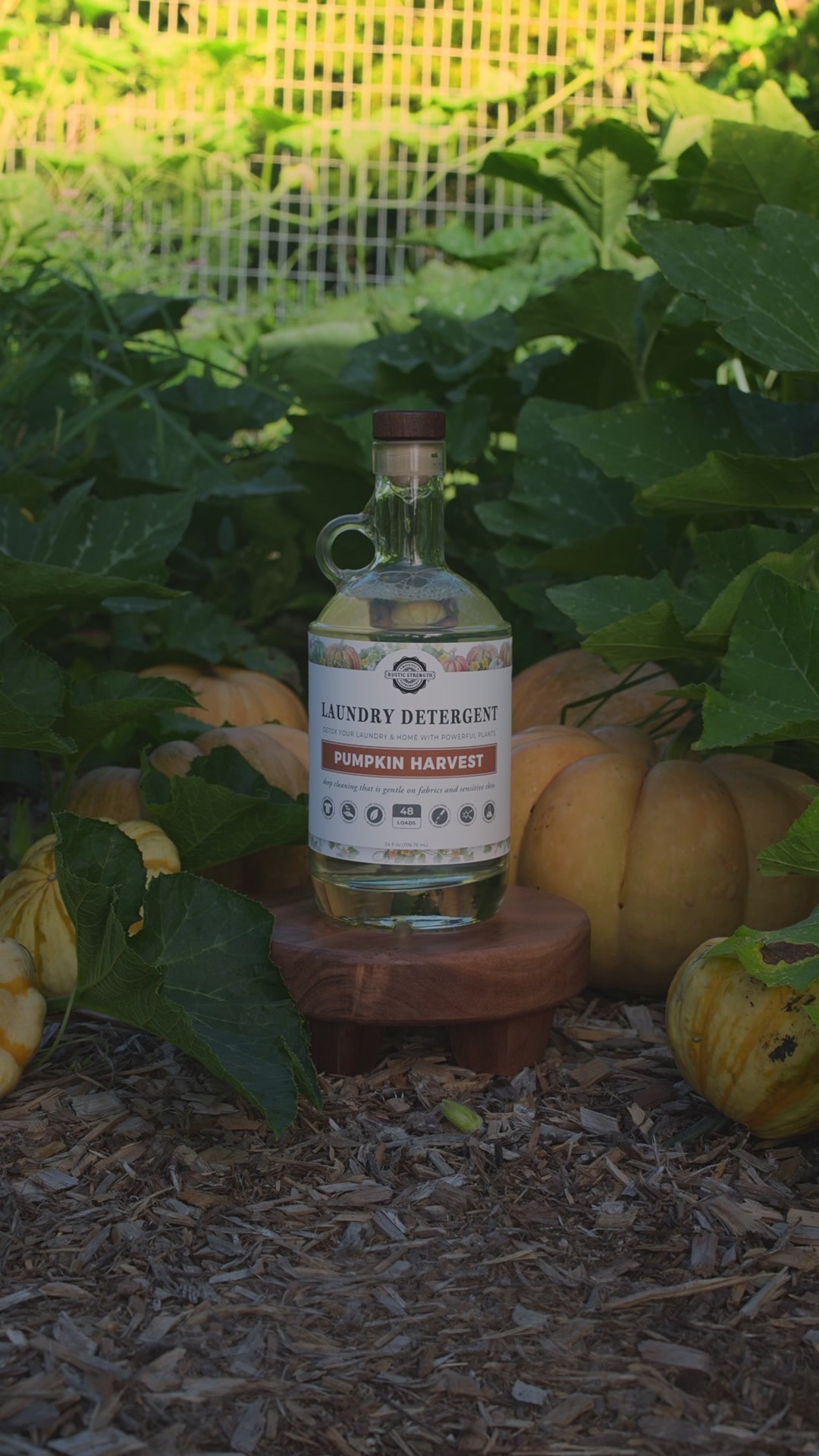 Laundry Detergent | Pumpkin Harvest
