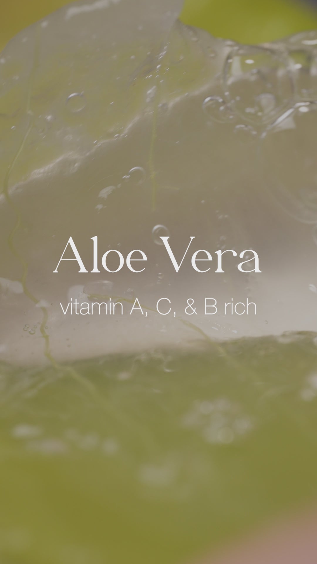 Aloe Vera Conditioner | Viridian Grove