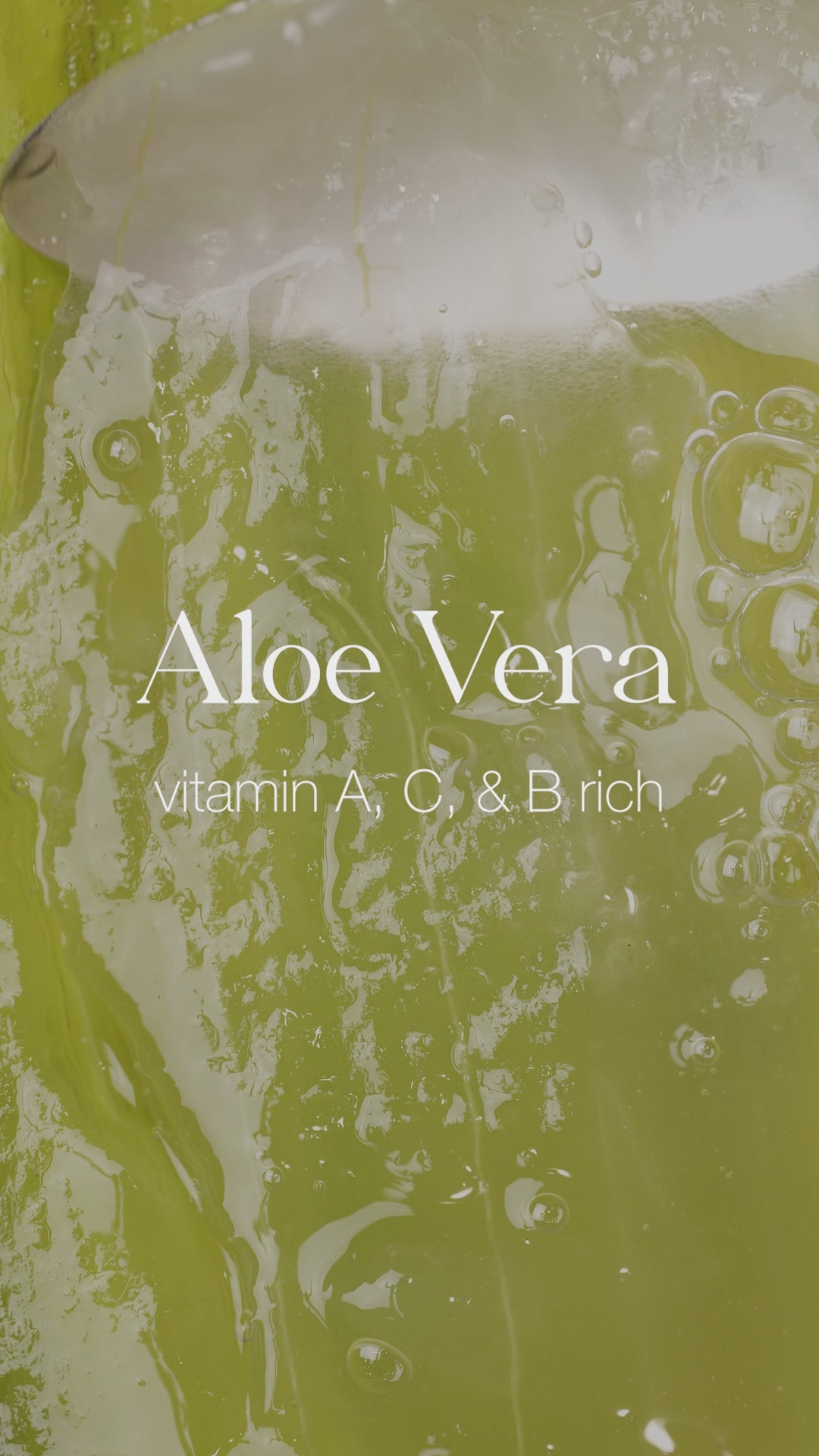Aloe Vera Body Lotion | Viridian Grove