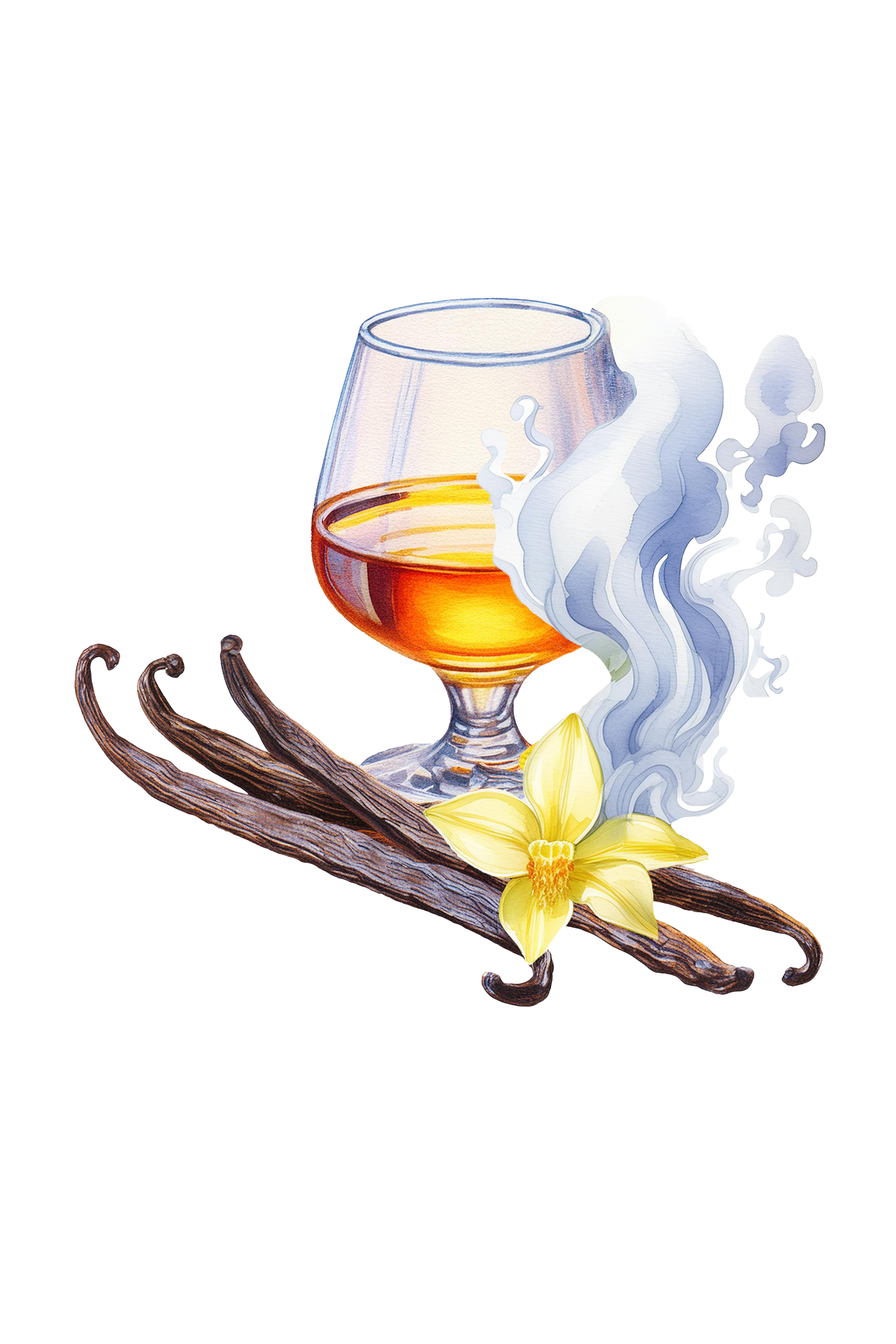 Smoked Vanilla Phthalate-Free Fragrance Oil