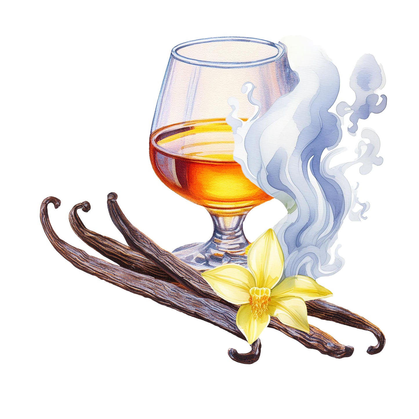 Smoked Vanilla Phthalate-Free Fragrance Oil