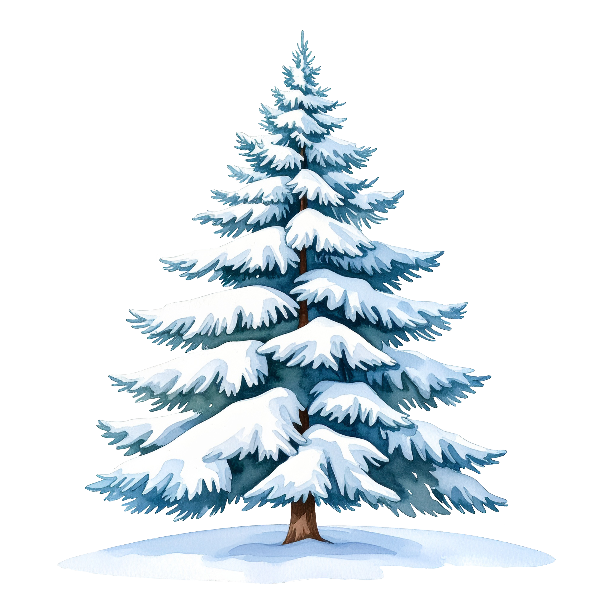 Silver Spruce Phthalate-Free Fragrance Oil