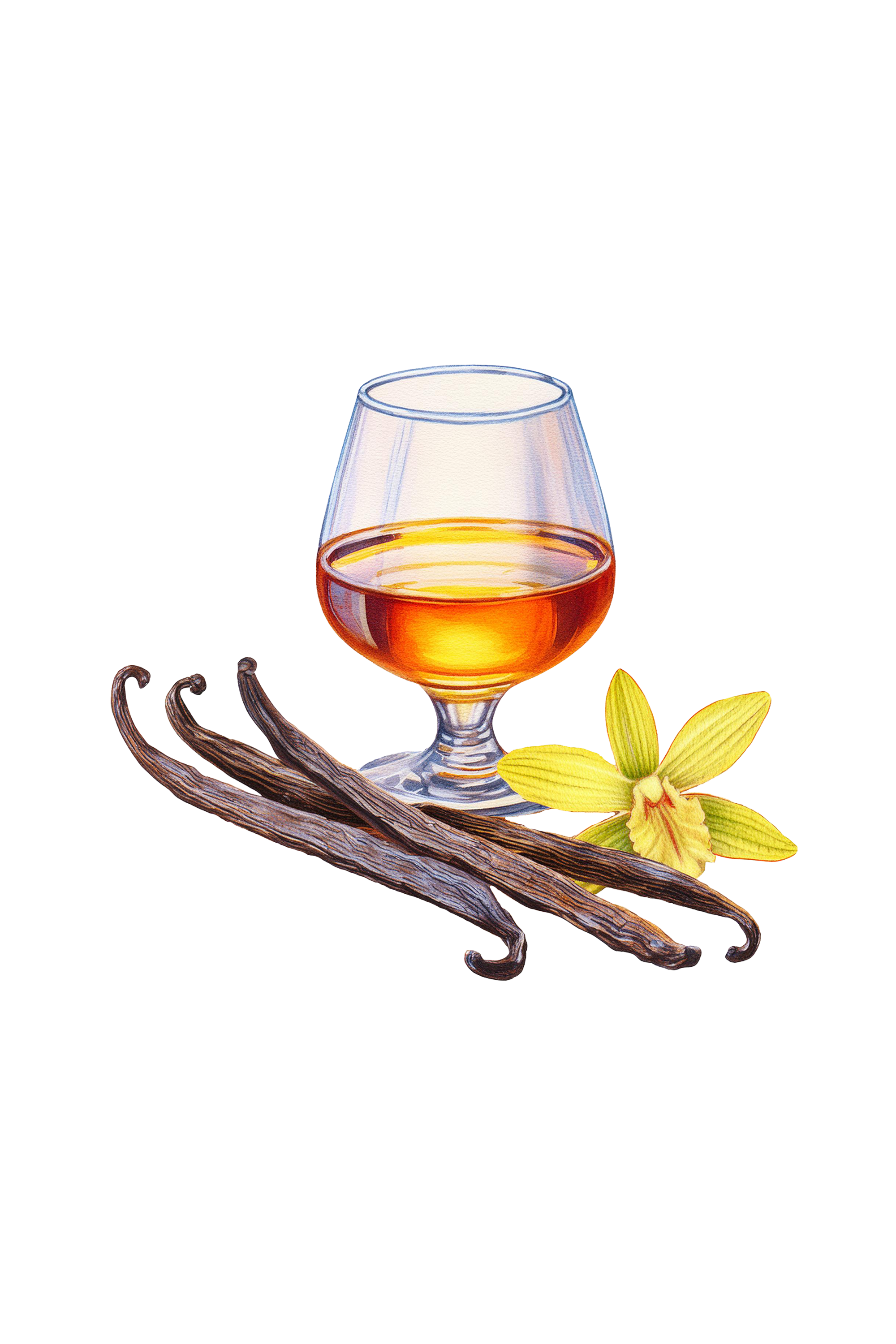 Vanilla Bourbon Phthalate-Free Fragrance Oil